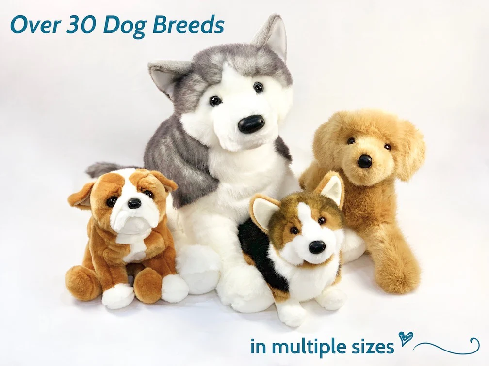 Welcome to Our Store