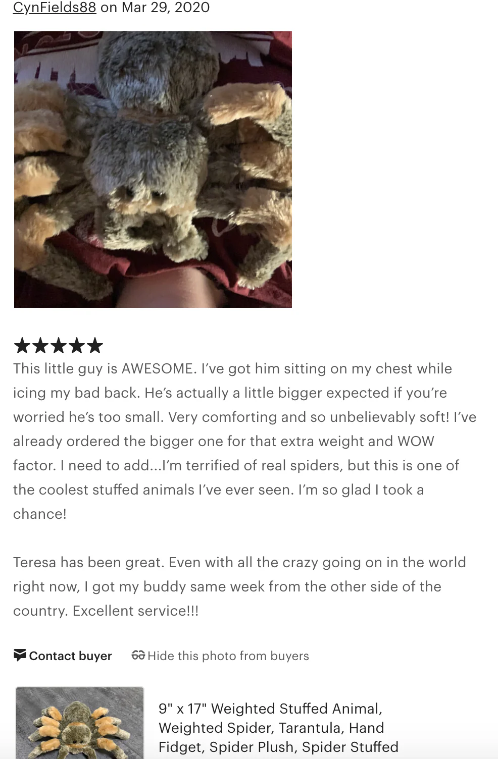 Weighted Tarantula Plush — 13" Body / 24" Leg Span (Up to 4 lbs) - Image 9