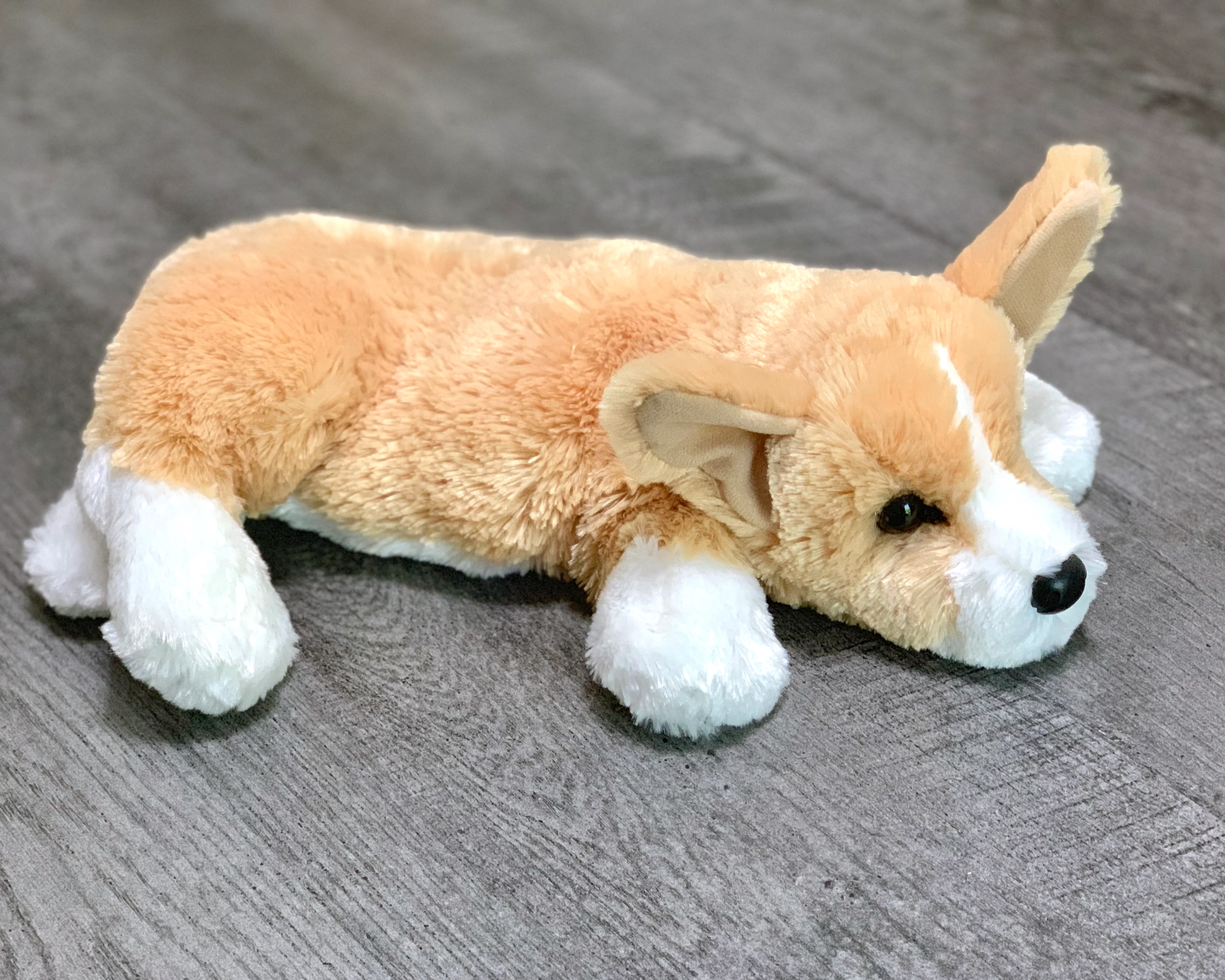 Weighted Corgi Pup – 14" (3.5 lbs) - Image 3