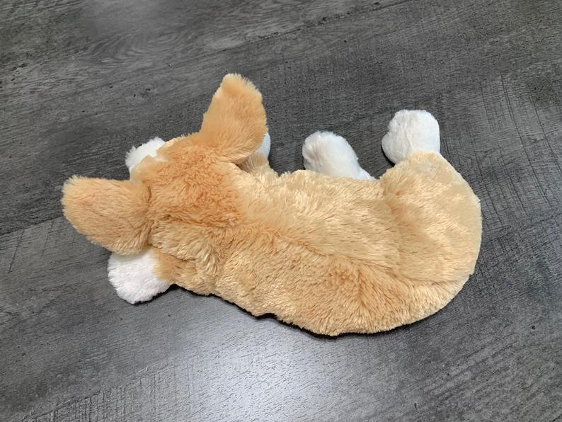 Weighted Corgi Pup – 14" (3.5 lbs) - Image 4