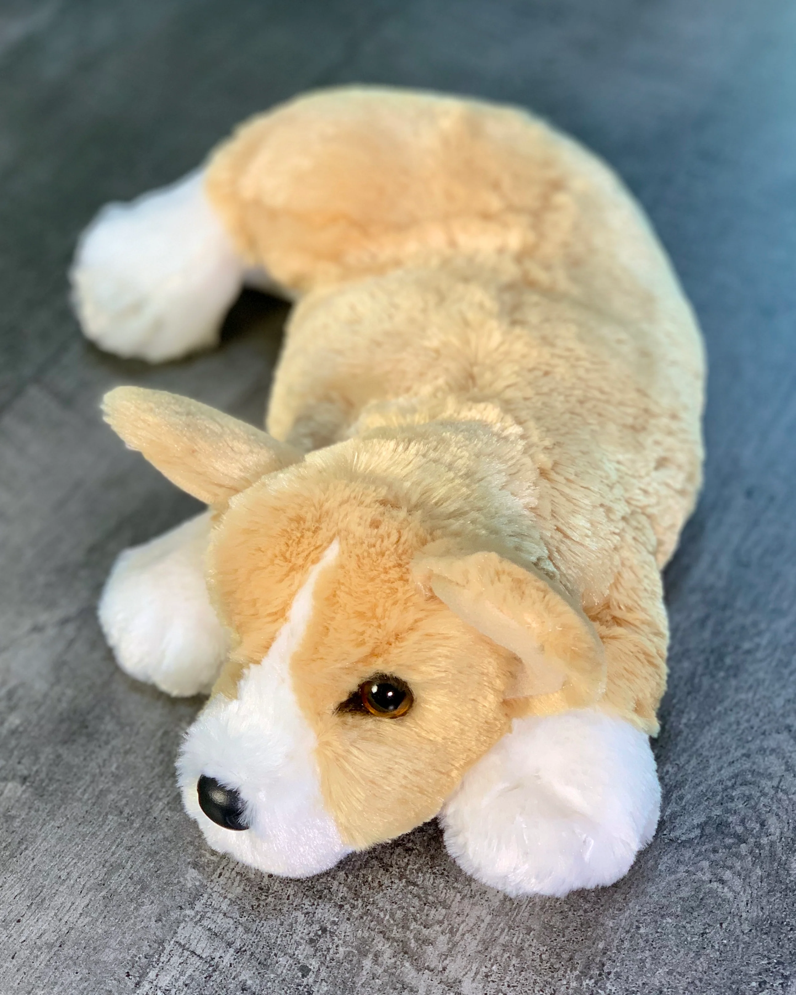 Weighted Corgi Pup – 14" (3.5 lbs) - Image 5