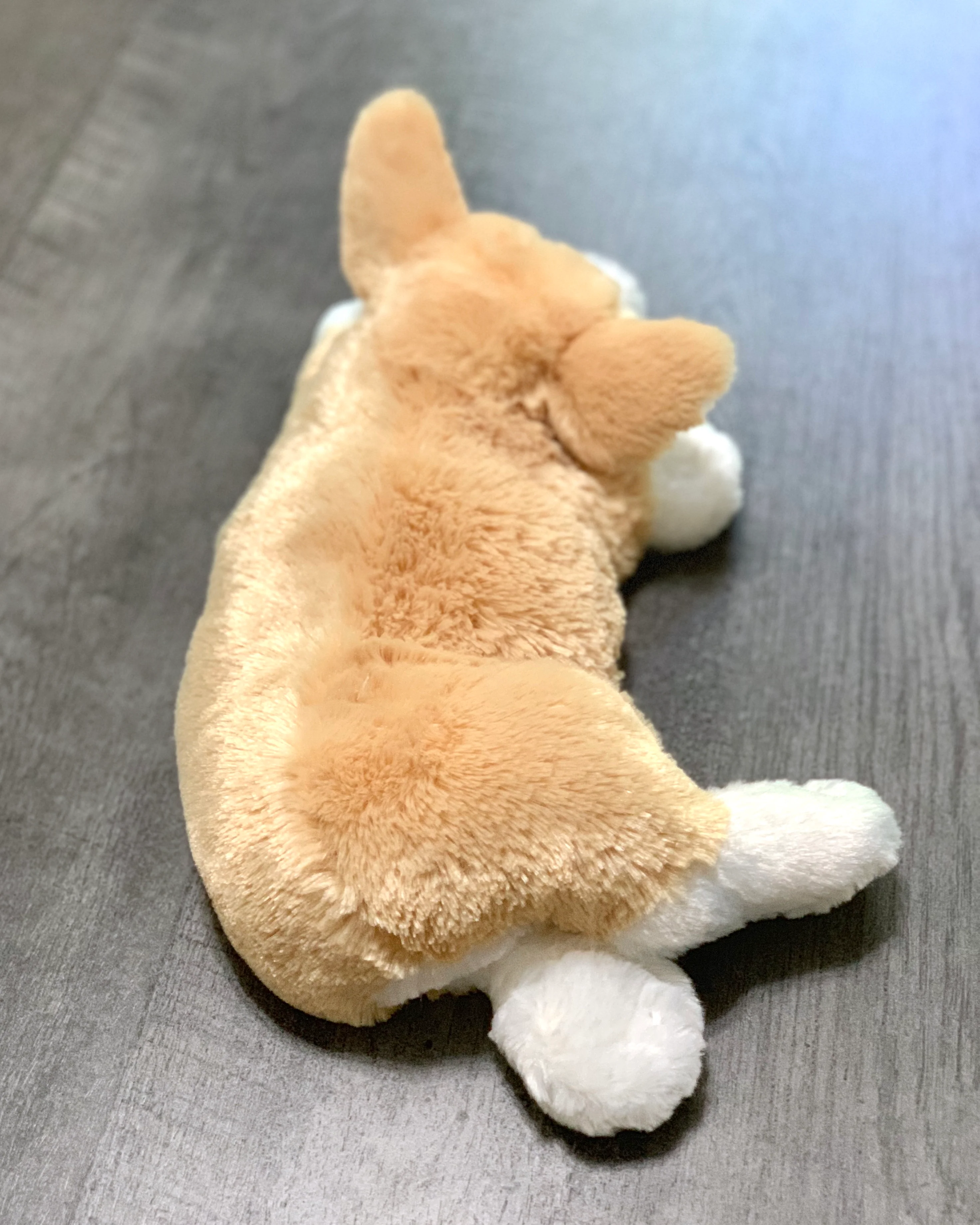 Weighted Corgi Pup – 14" (3.5 lbs) - Image 6