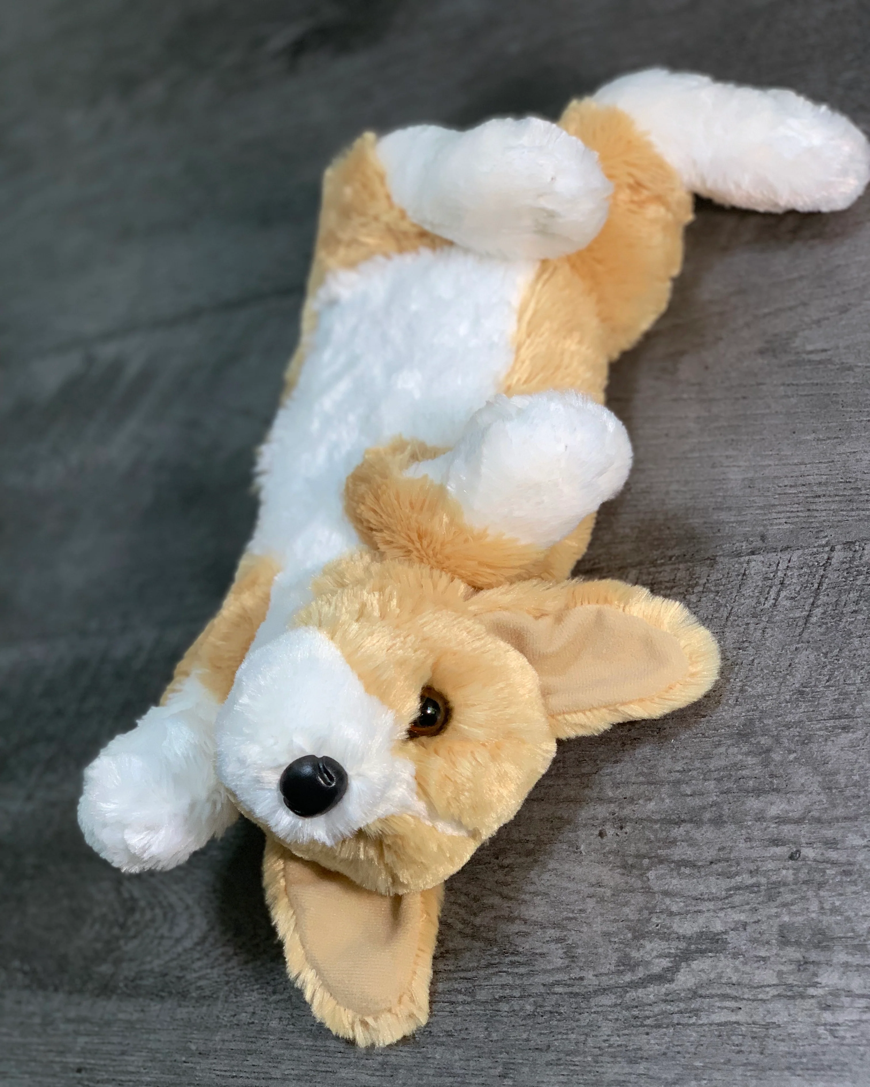 Weighted Corgi Pup – 14" (3.5 lbs) - Image 7