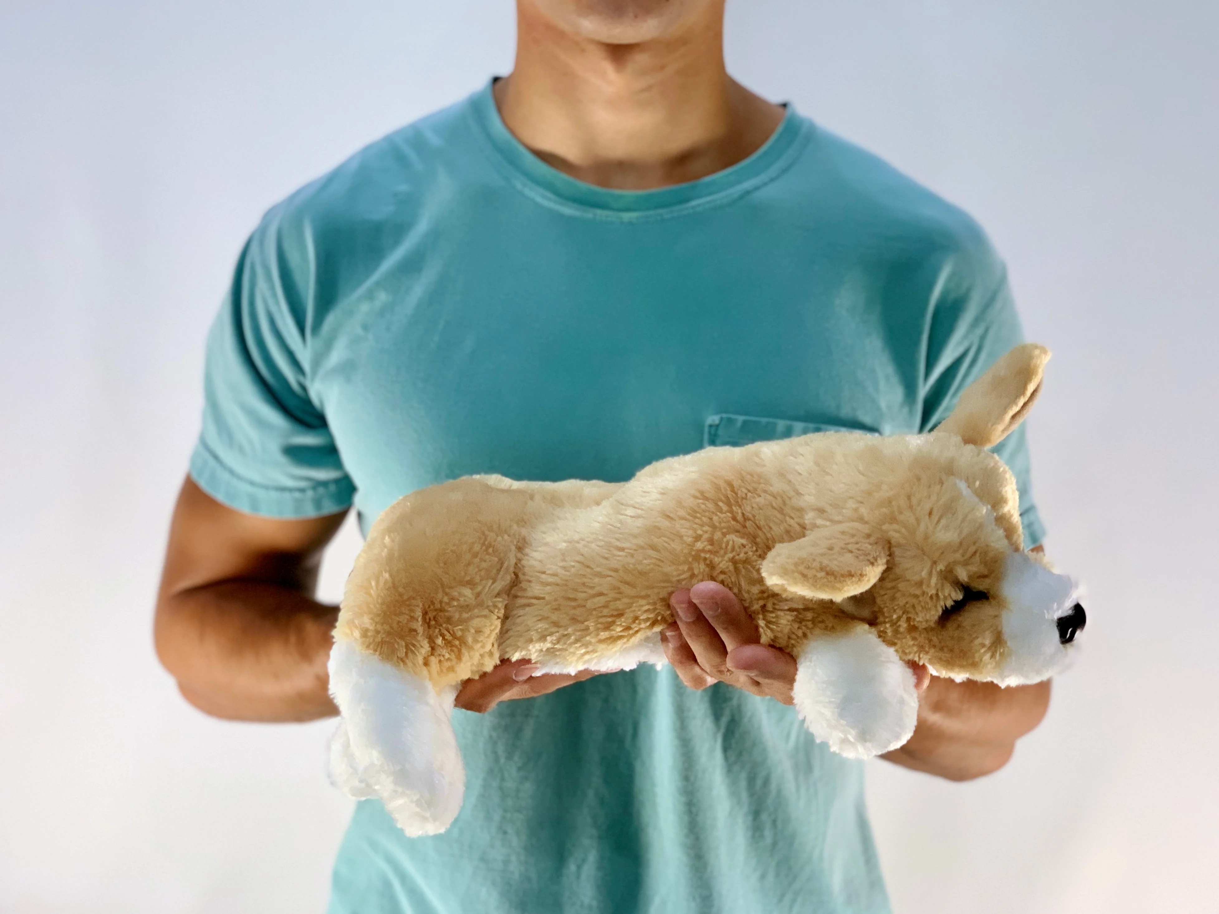 Weighted Corgi Pup – 14" (3.5 lbs) - Image 8