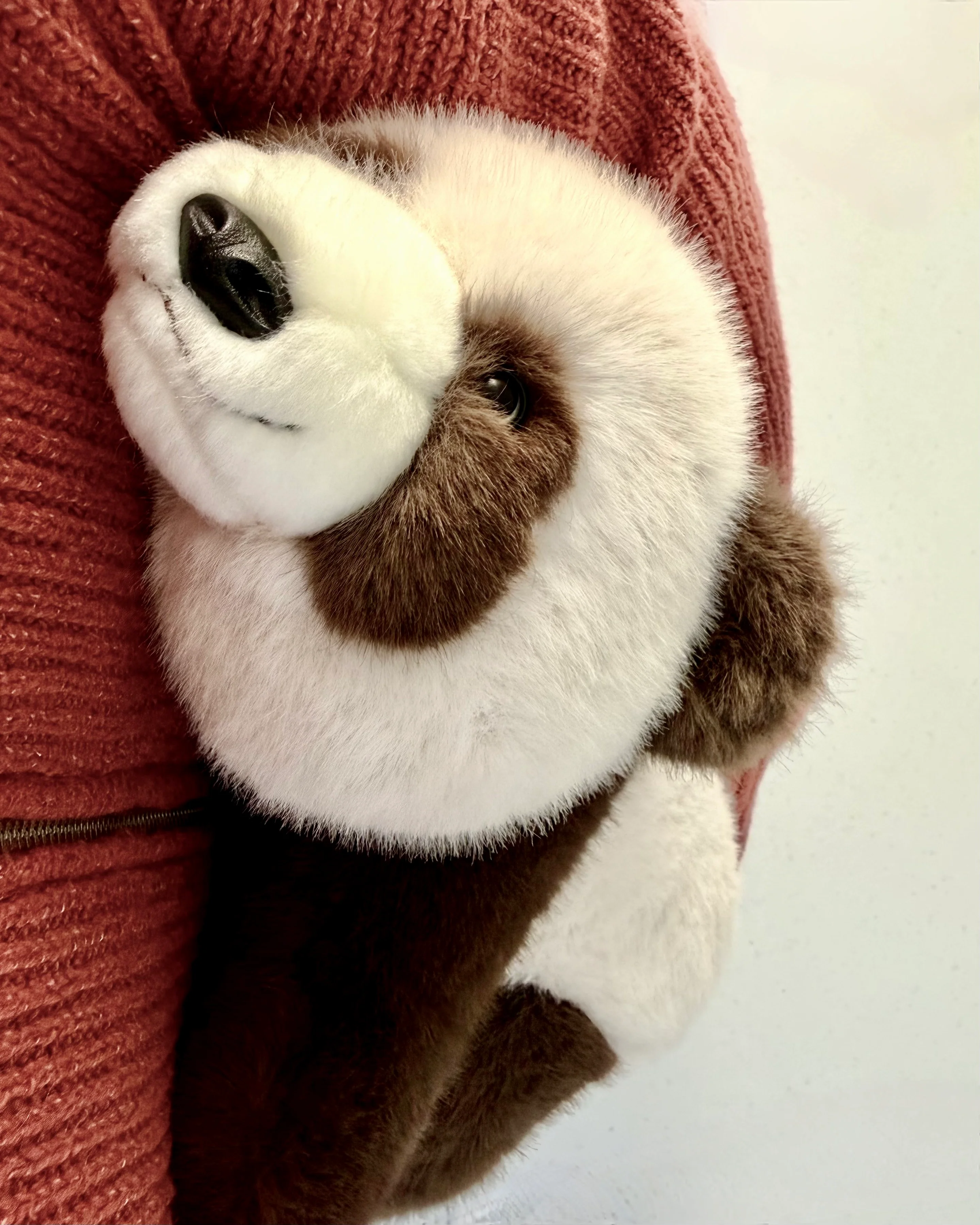 14" Weighted Panda Plush, Adjustable 1–5 lbs Grow-With-Your-Child Comfort - Image 8