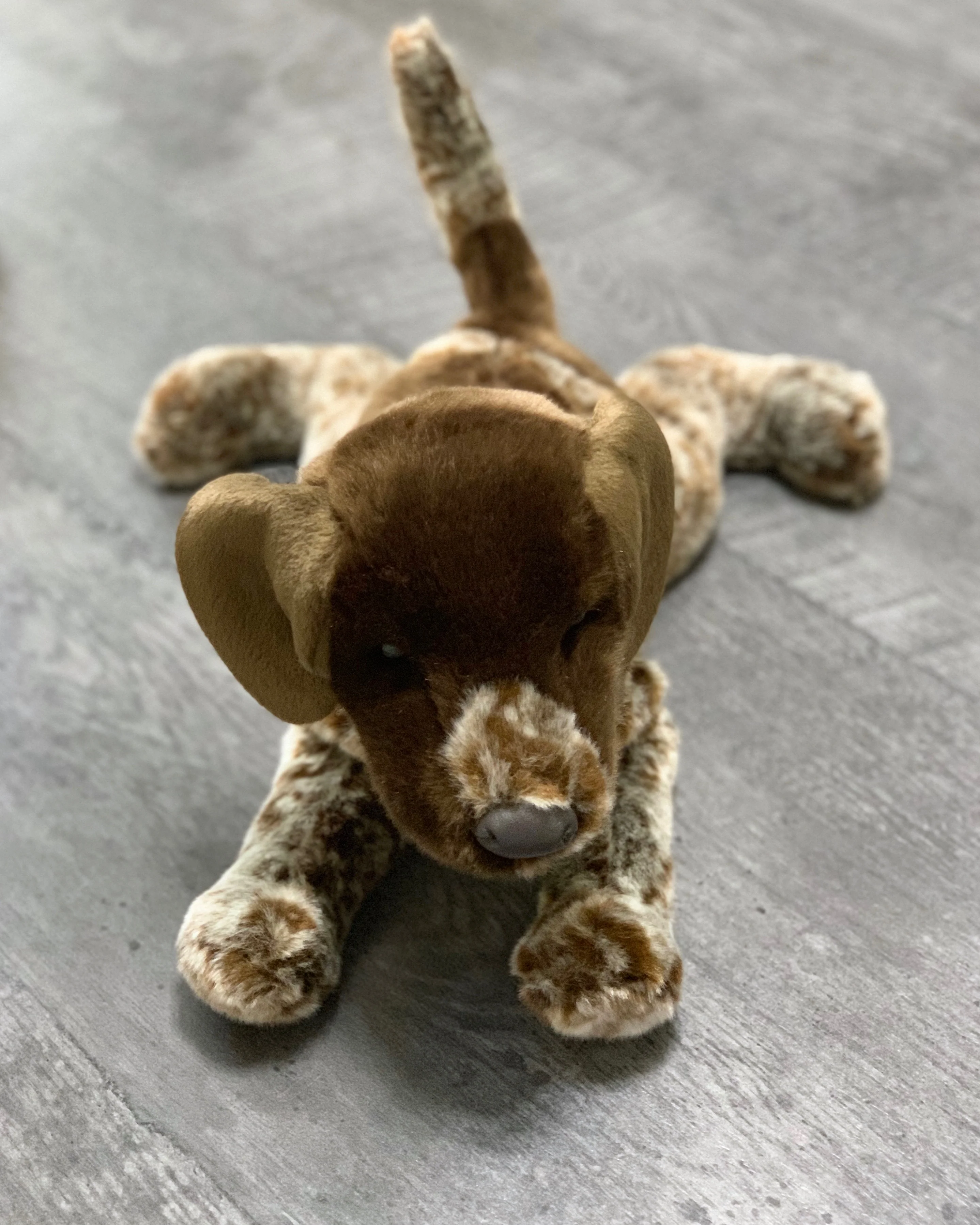 Weighted German Pointer Pup – 15" (Up to 3 lbs) - Image 5