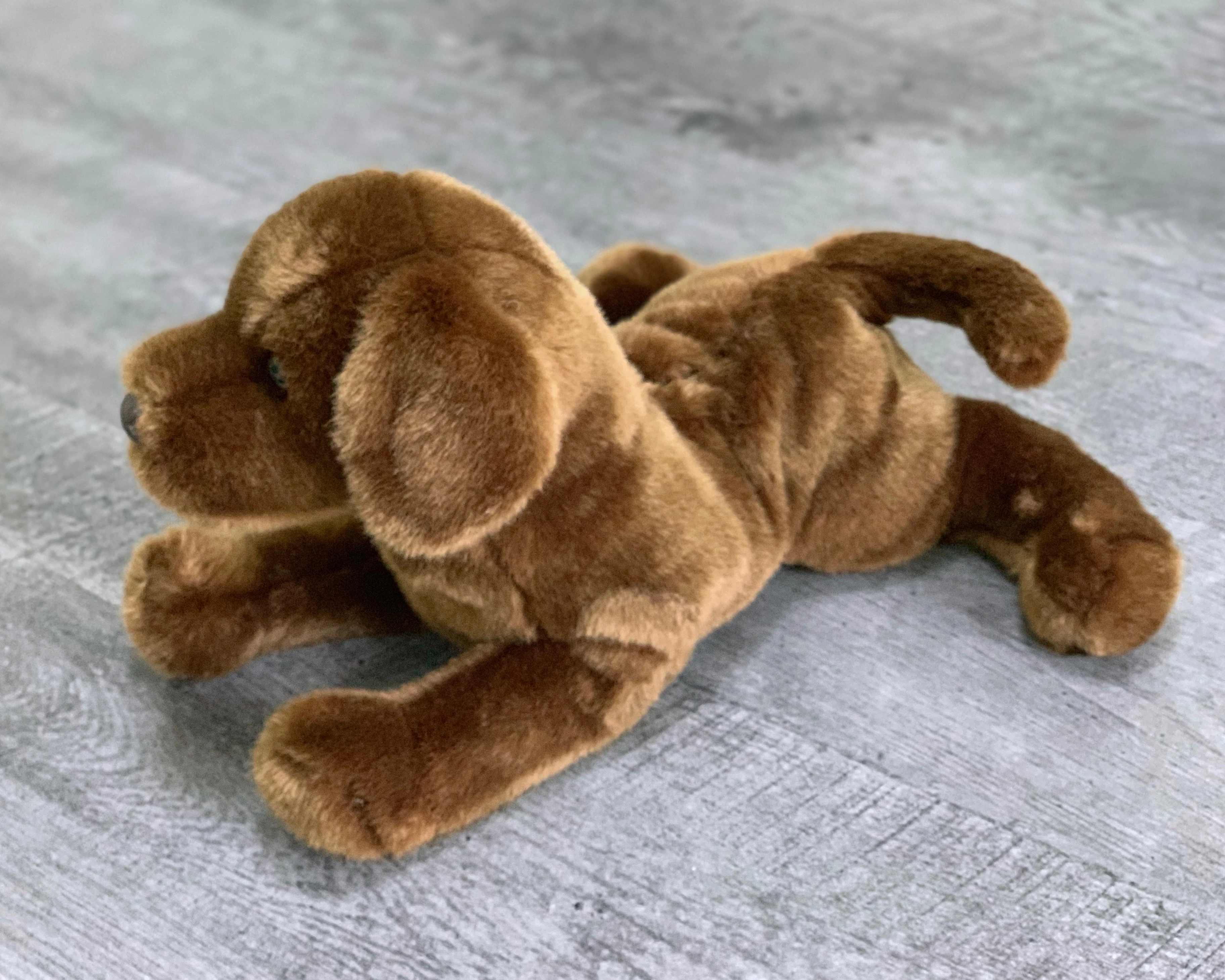 Weighted Chocolate Lab Pup – 15" (Up to 3 lbs) - Image 4