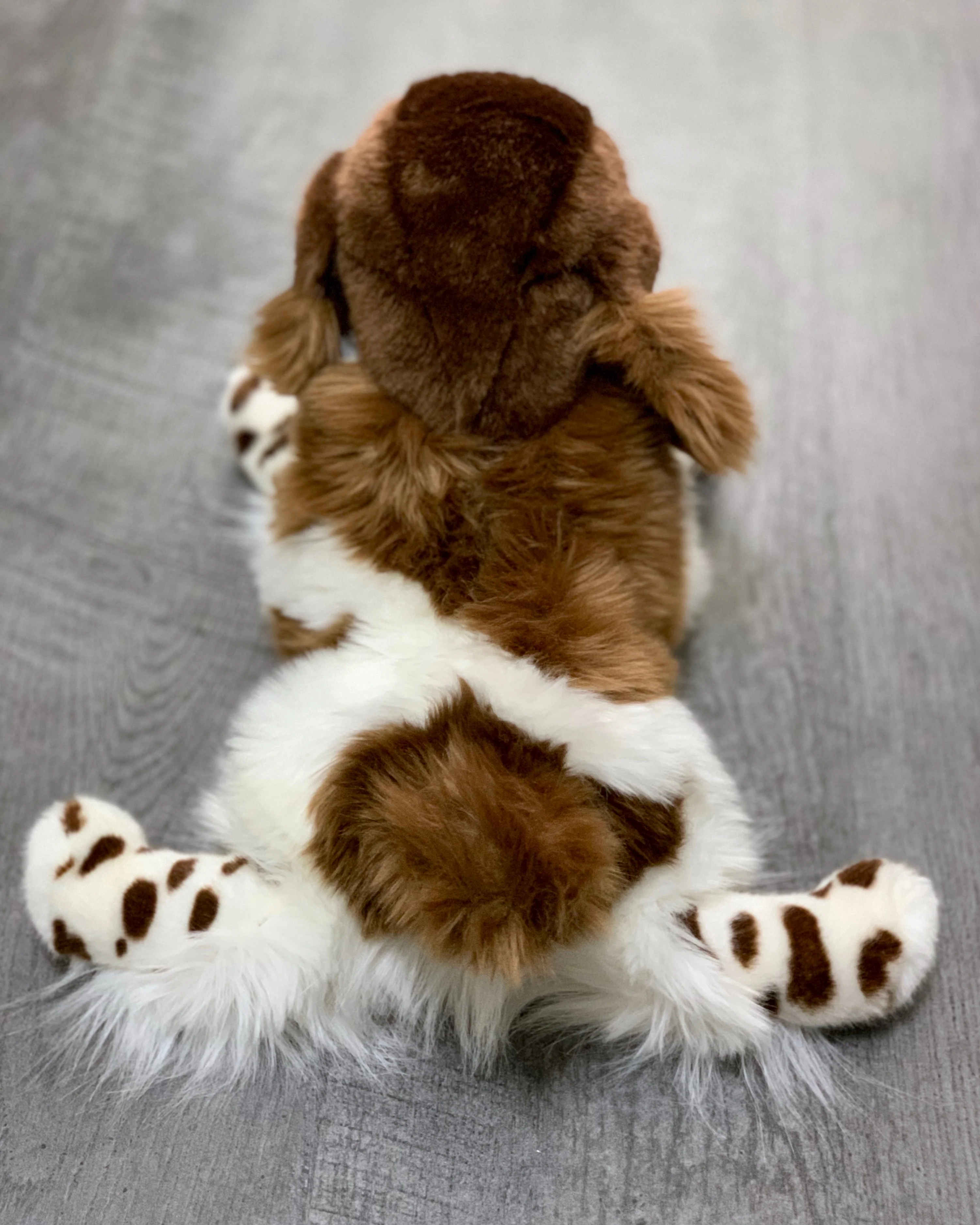 Weighted Ogilvy Spaniel – 15" (Up to 3 lbs) - Image 10