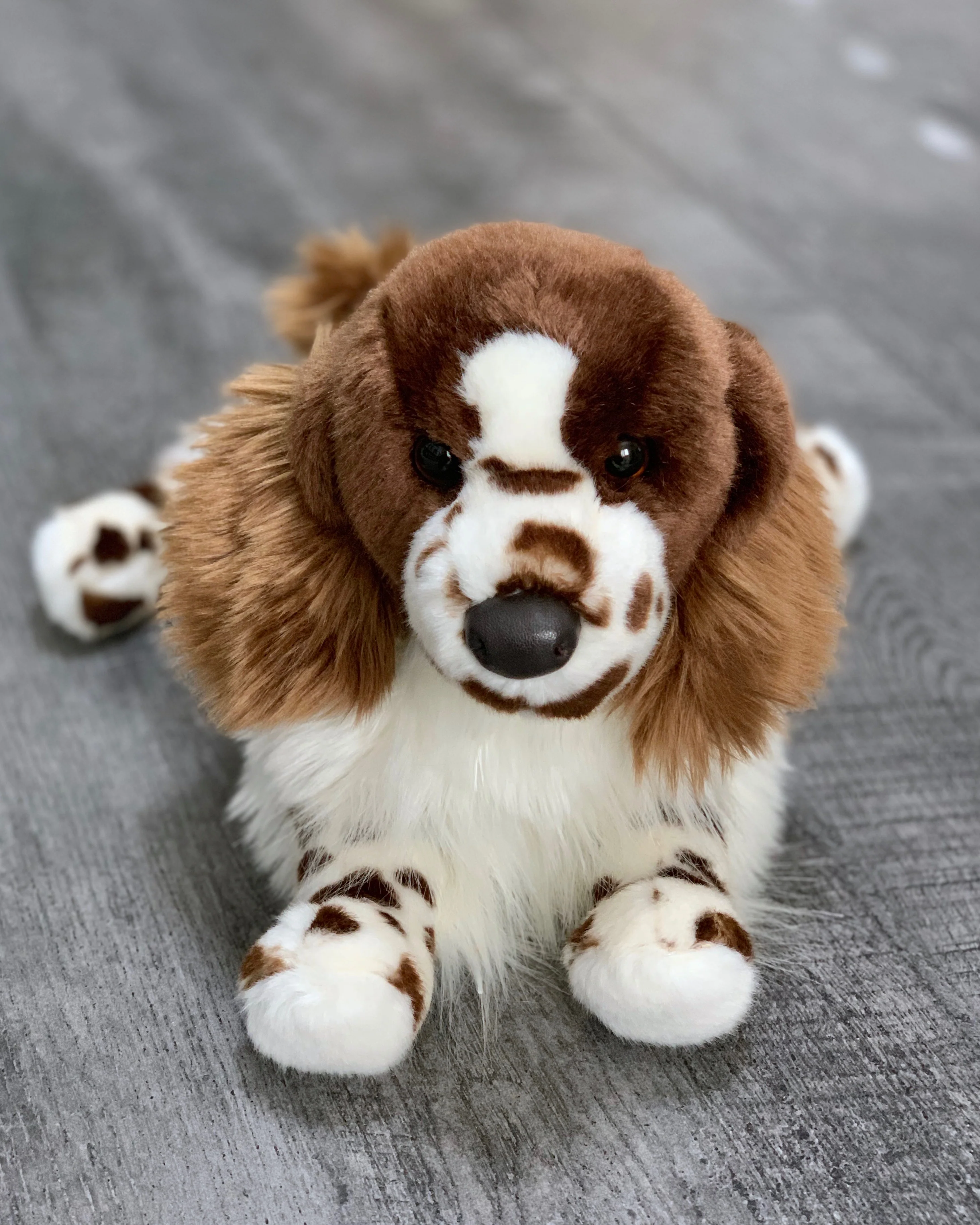 Weighted Ogilvy Spaniel – 15" (Up to 3 lbs) - Image 3