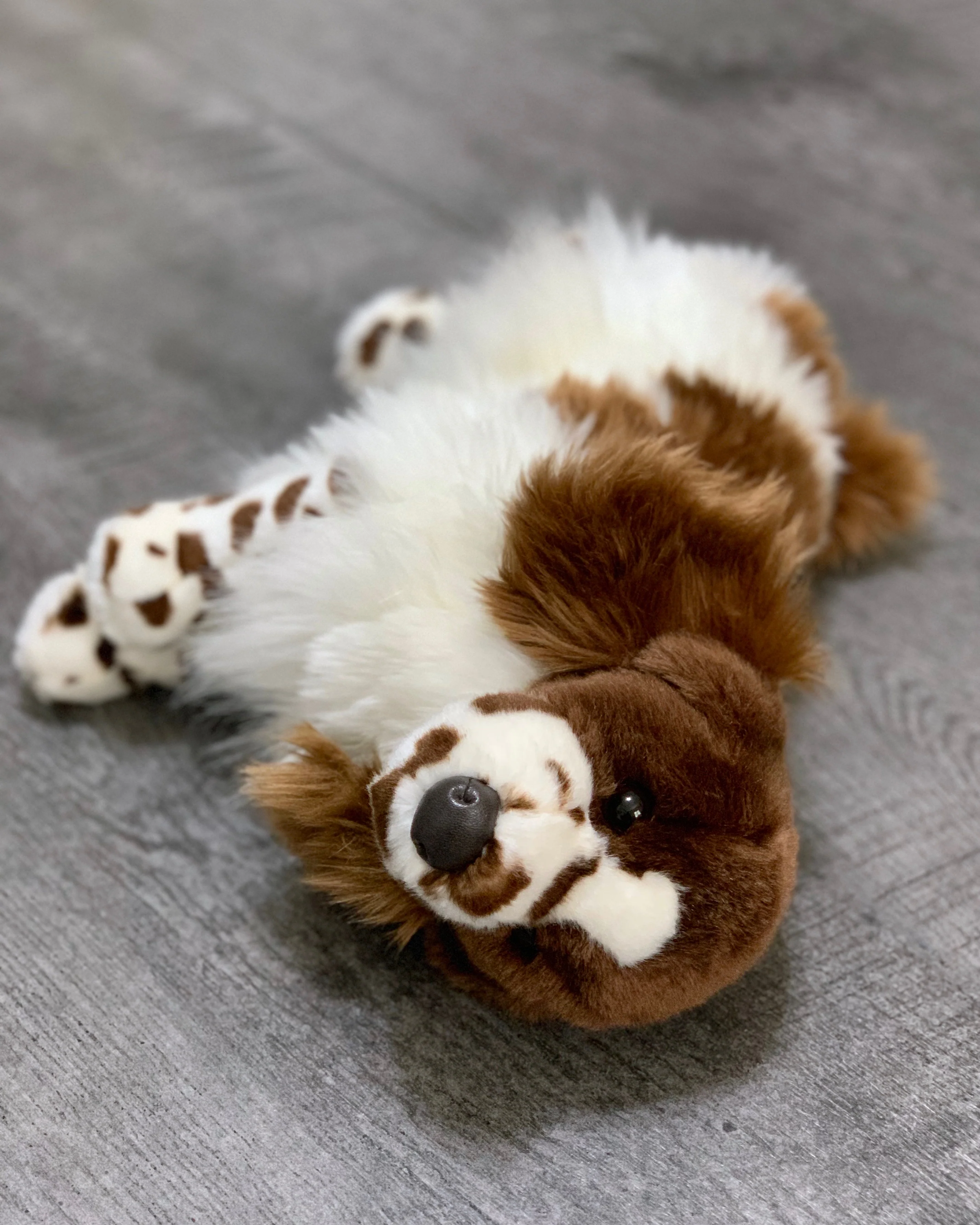 Weighted Ogilvy Spaniel – 15" (Up to 3 lbs) - Image 4