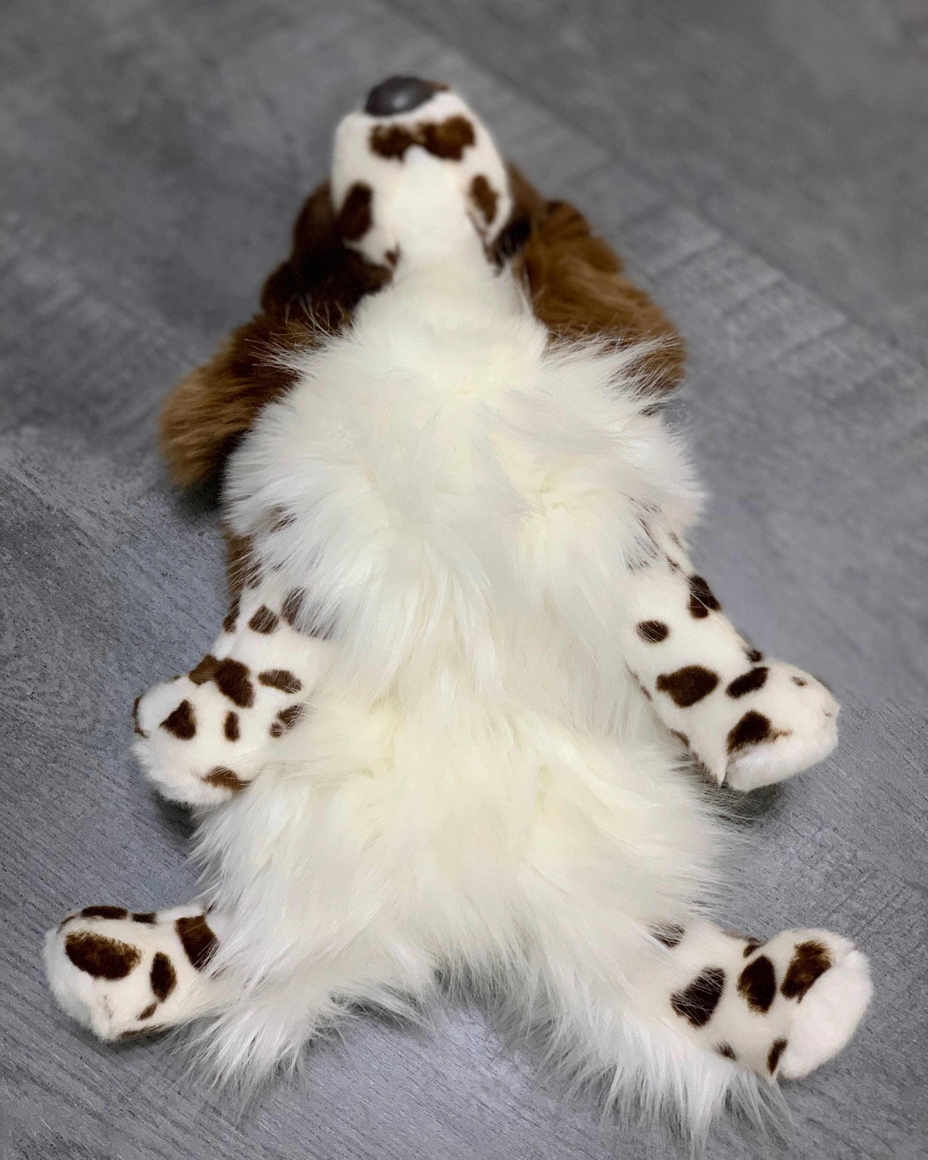 Weighted Ogilvy Spaniel – 15" (Up to 3 lbs) - Image 6