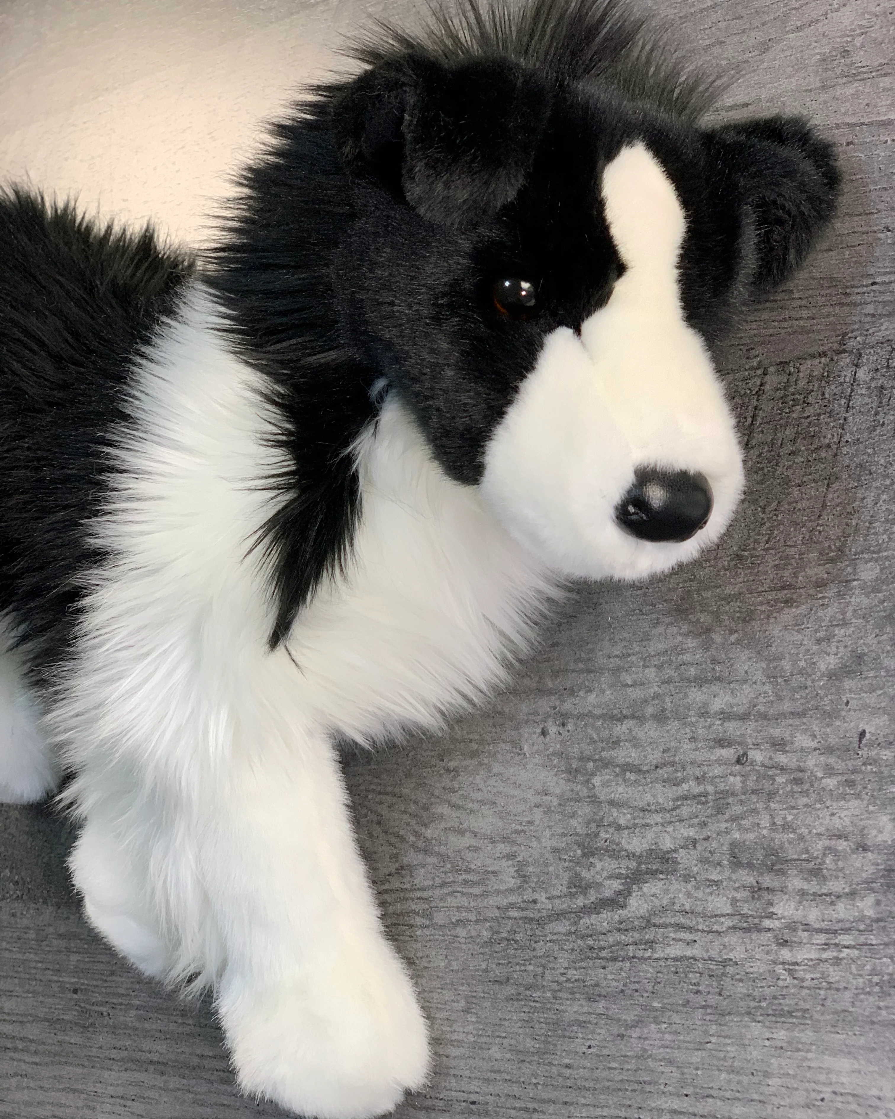 Weighted Border Collie Plush – 15" (Up to 3 lbs) - Image 3