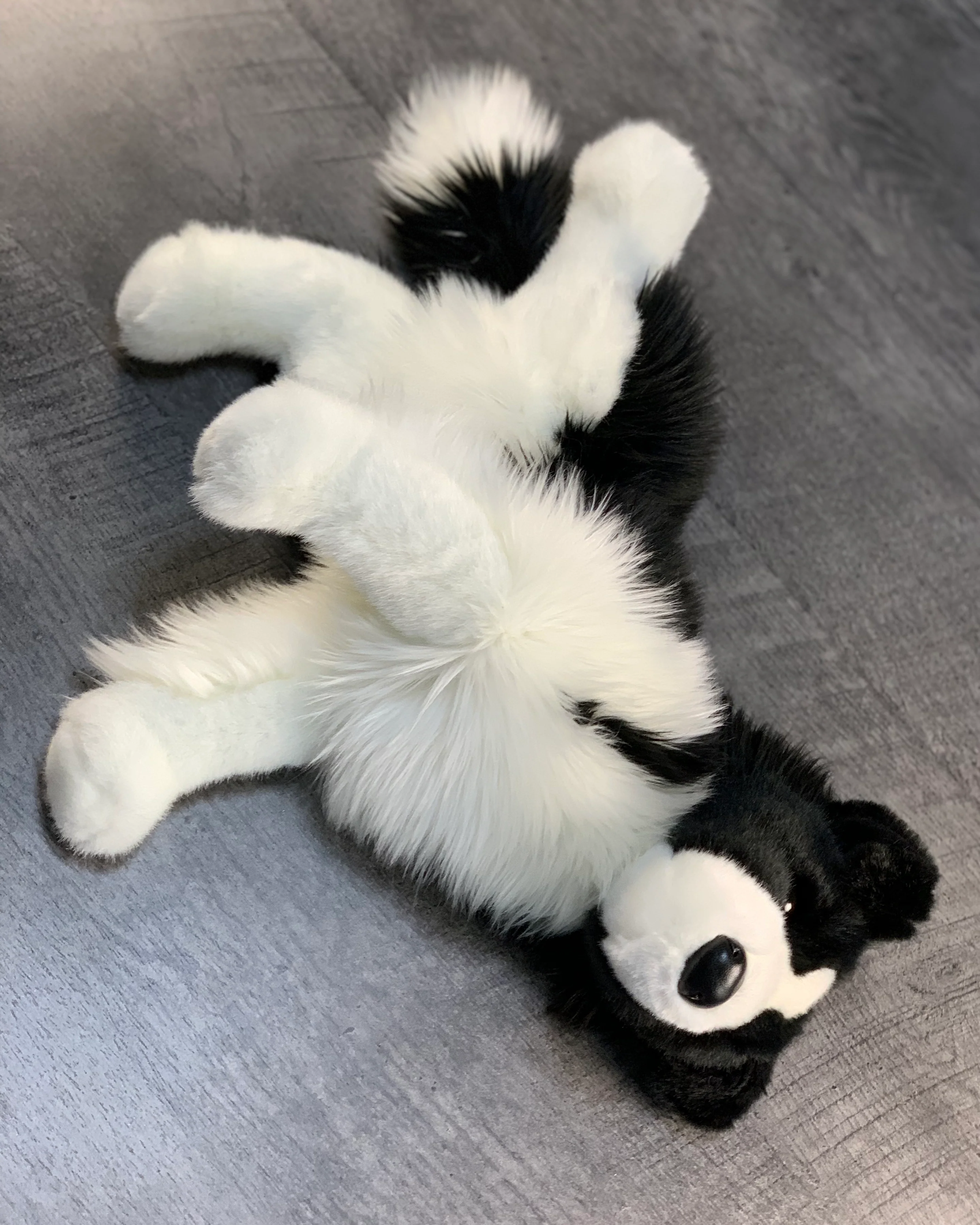Weighted Border Collie Plush – 15" (Up to 3 lbs) - Image 4