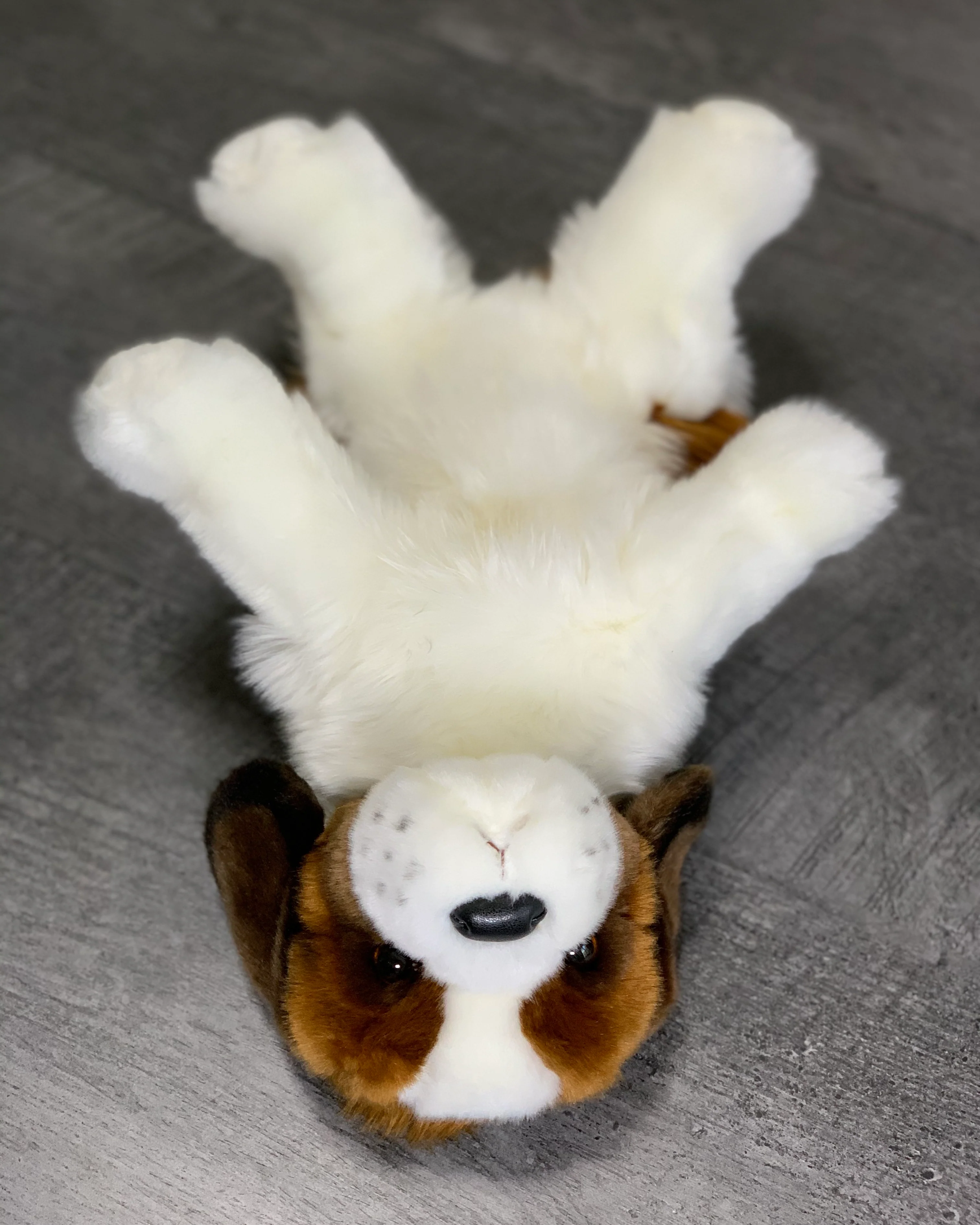 Weighted Saint Bernard Pup – 15" (Up to 3 lbs) - Image 5