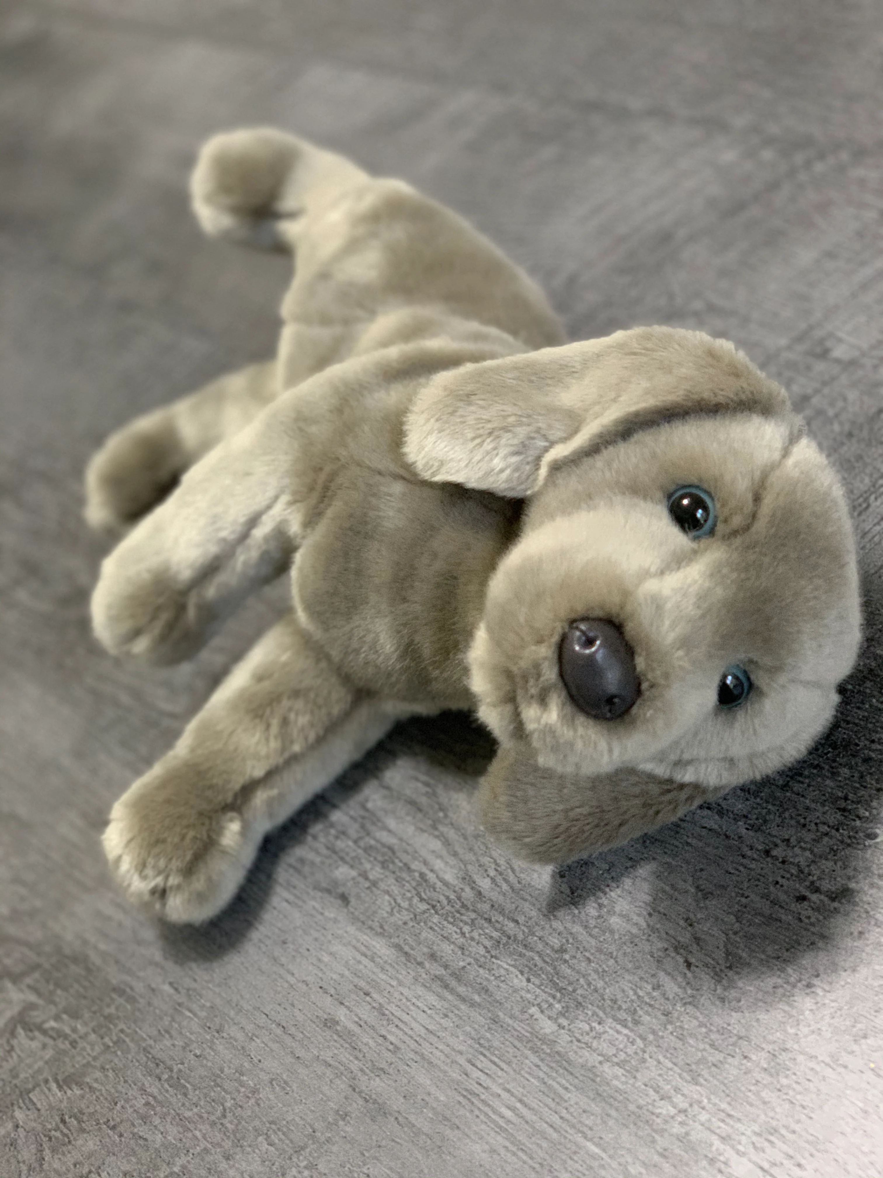 Weighted Weimaraner Pup – 15" (2.5 lbs) - Image 12