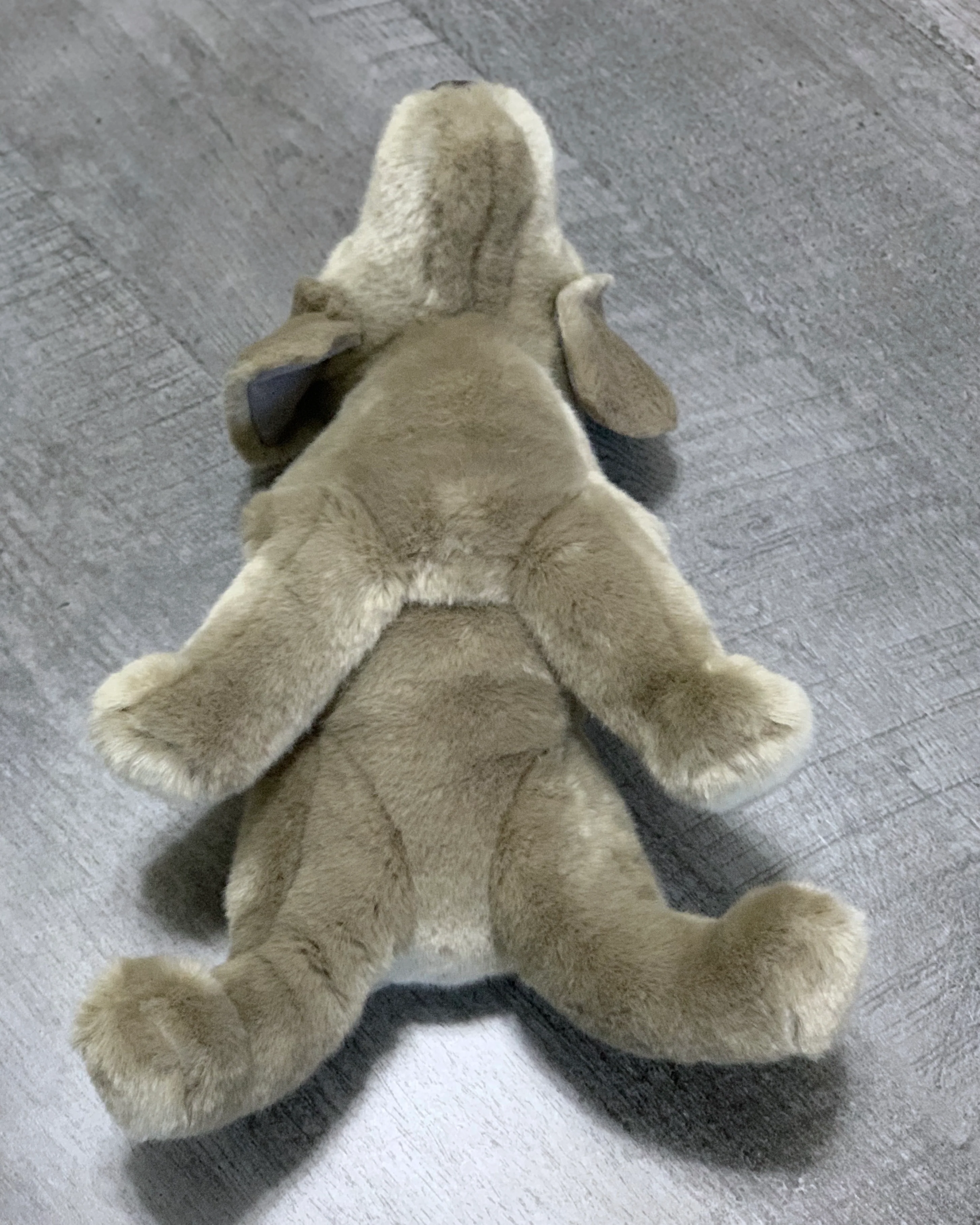 Weighted Weimaraner Pup – 15" (2.5 lbs) - Image 13