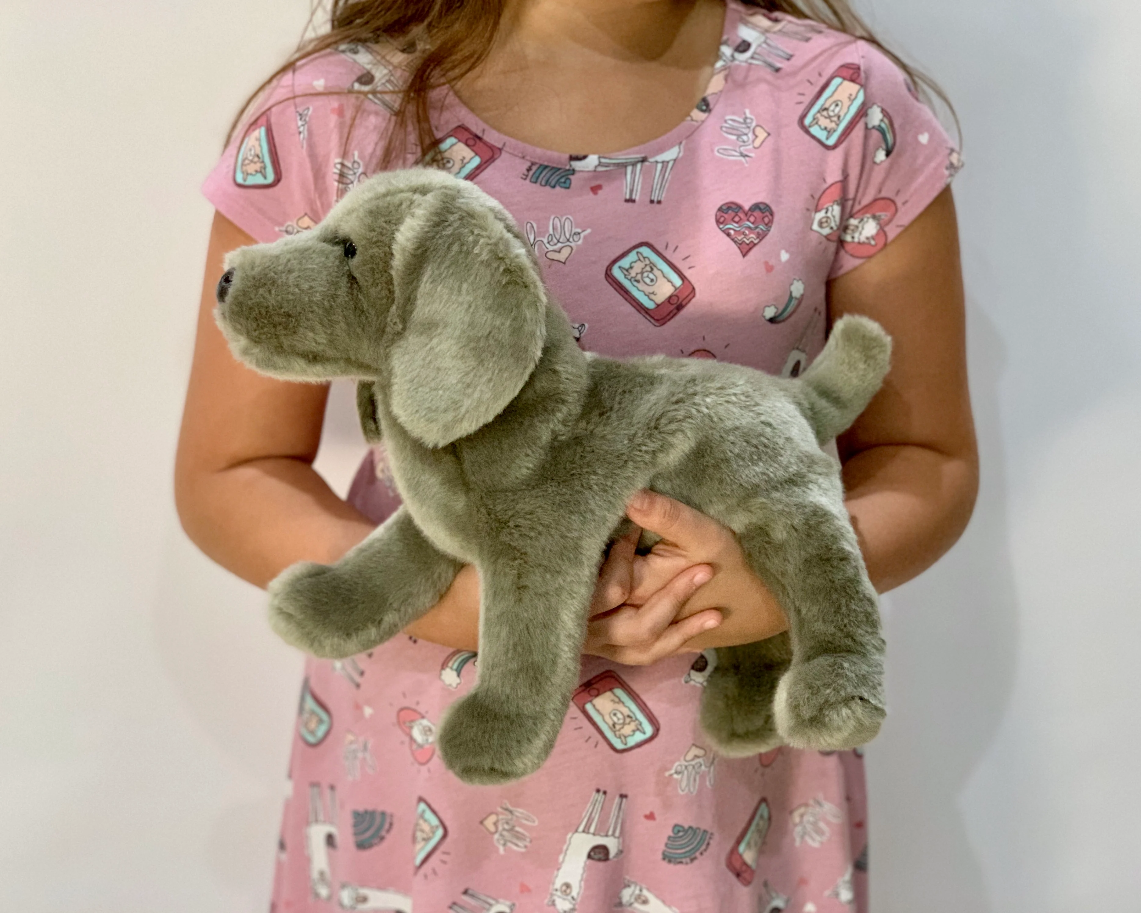 Weighted Weimaraner Pup – 15" (2.5 lbs) - Image 14