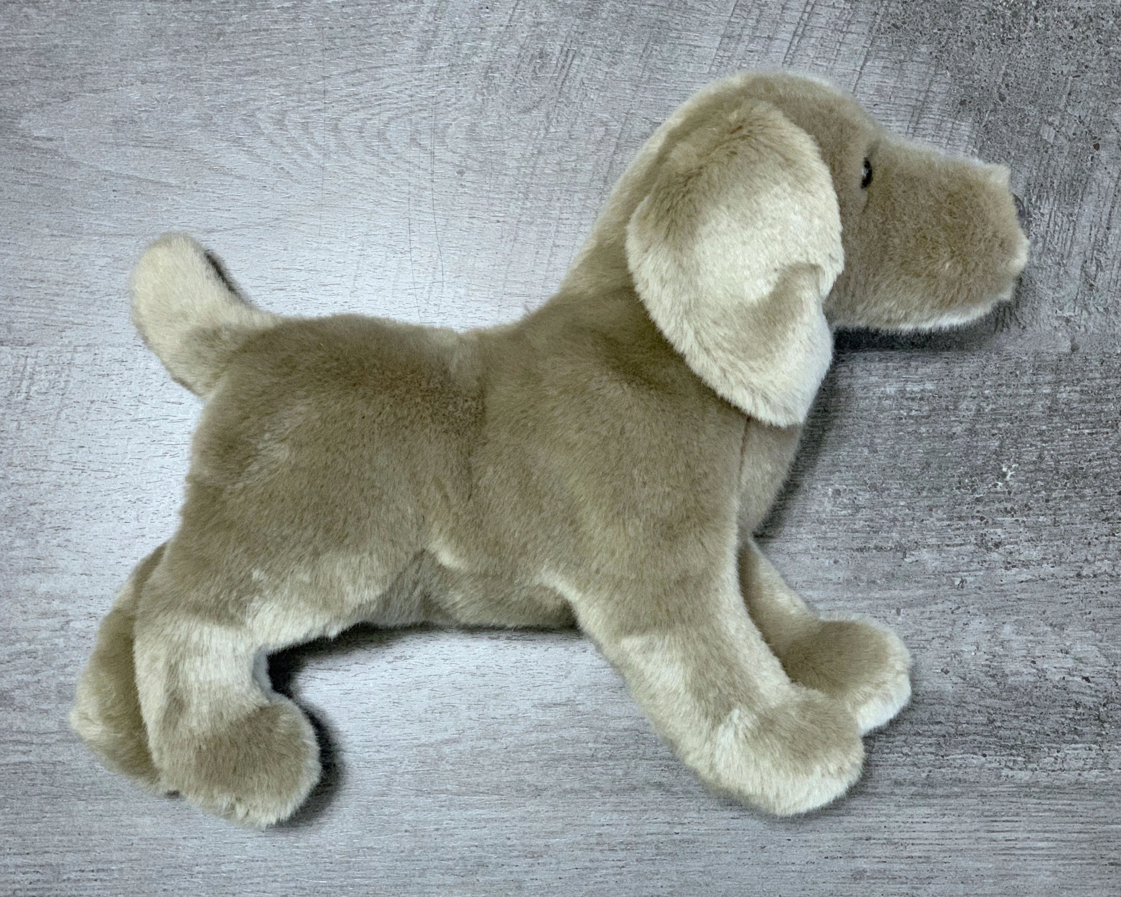 Weighted Weimaraner Pup – 15" (2.5 lbs) - Image 3