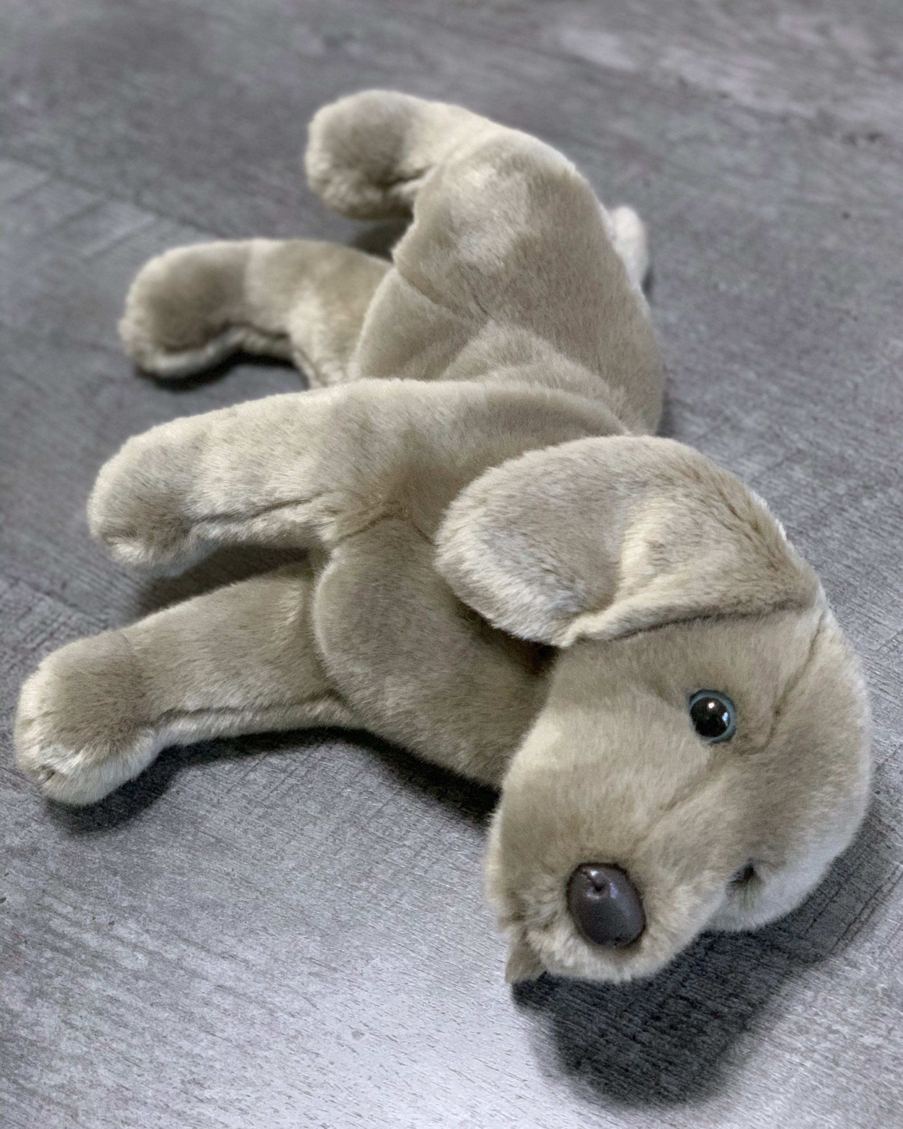 Weighted Weimaraner Pup – 15" (2.5 lbs) - Image 6