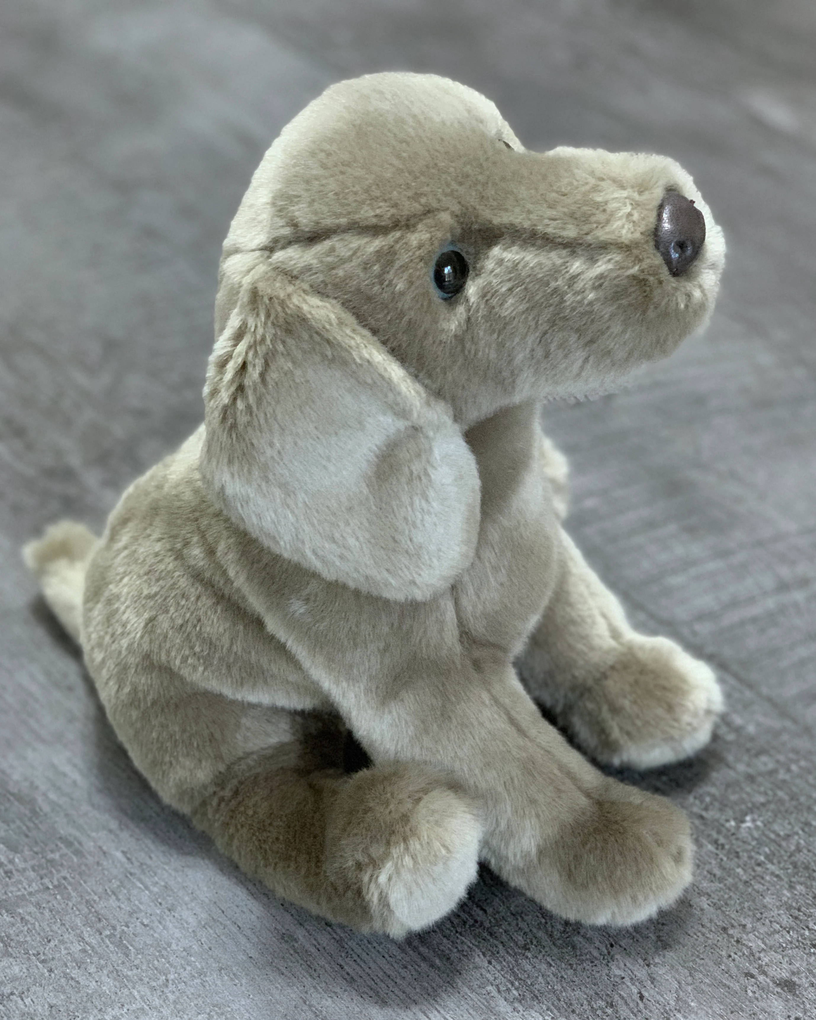 Weighted Weimaraner Pup – 15" (2.5 lbs) - Image 8