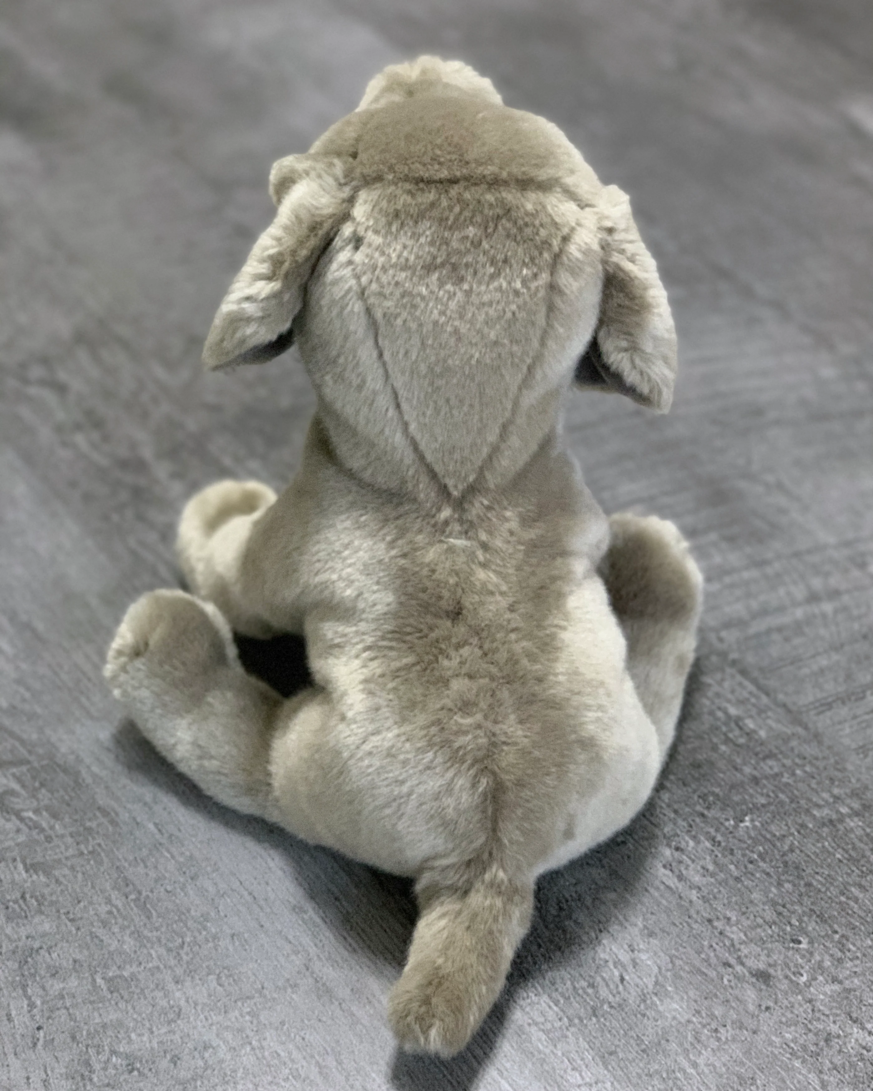 Weighted Weimaraner Pup – 15" (2.5 lbs) - Image 9