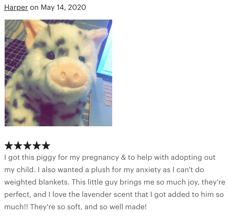 Weighted Spotted Pig Plush — 17" Chubby Cuddles (Up to 5 lbs) - Image 9