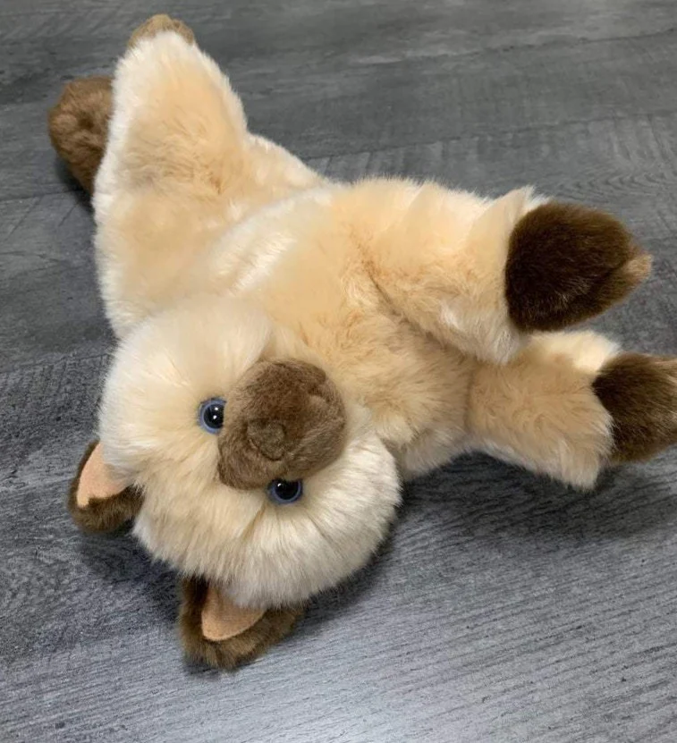 Weighted Himalayan Cat Plush — 15" (Up to 3lbs) - Image 6