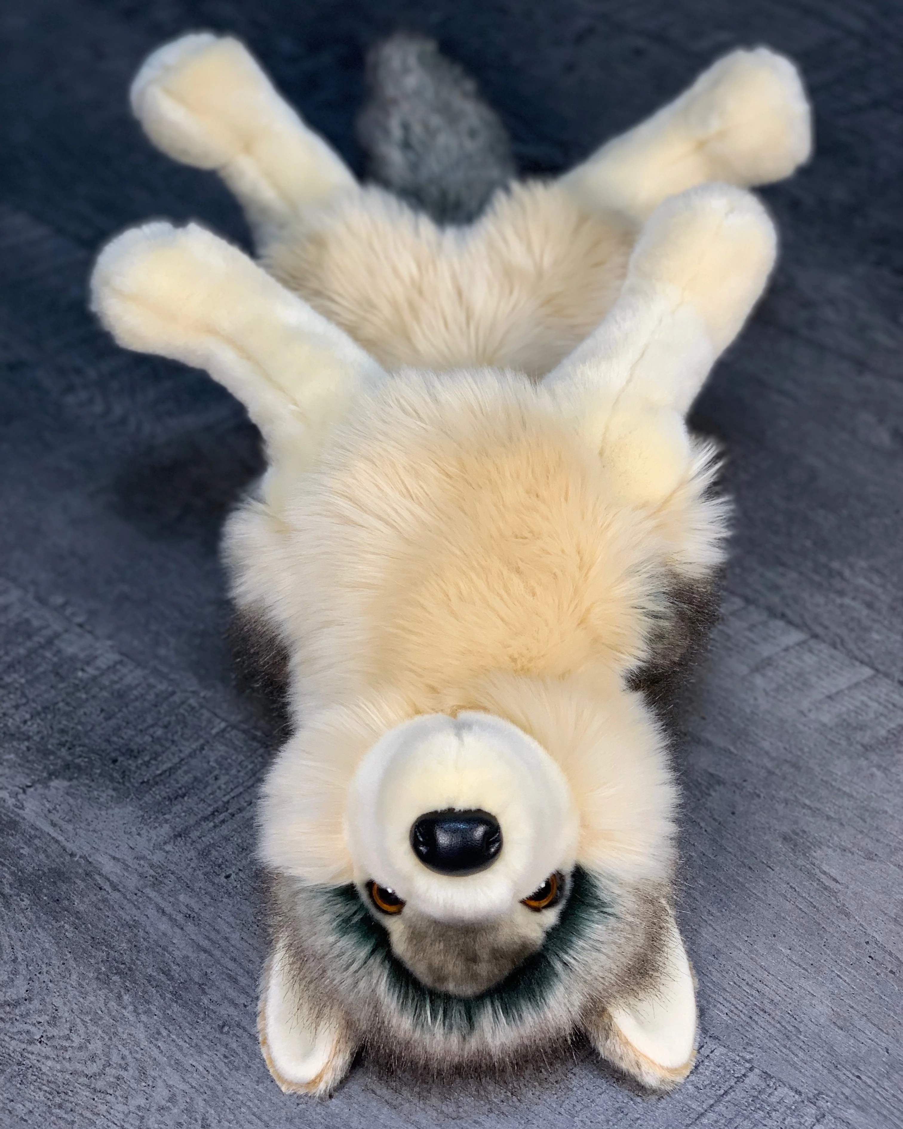 Weighted Gray Wolf Plush — 18" Lifelike & Cuddly (Up to 5 lbs) - Image 6