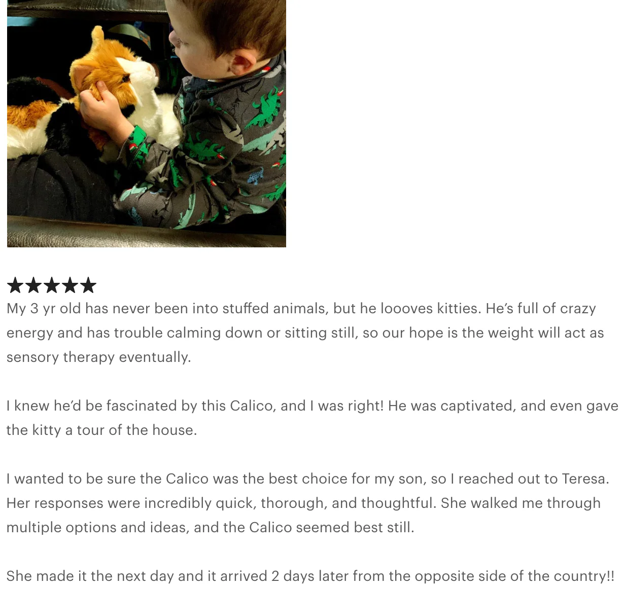 Weighted Calico Cat Plush — 19" (Up to 4 lbs) - Image 7