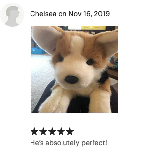 19" Weighted Corgi Plush (Up to 6 lbs) - Image 12