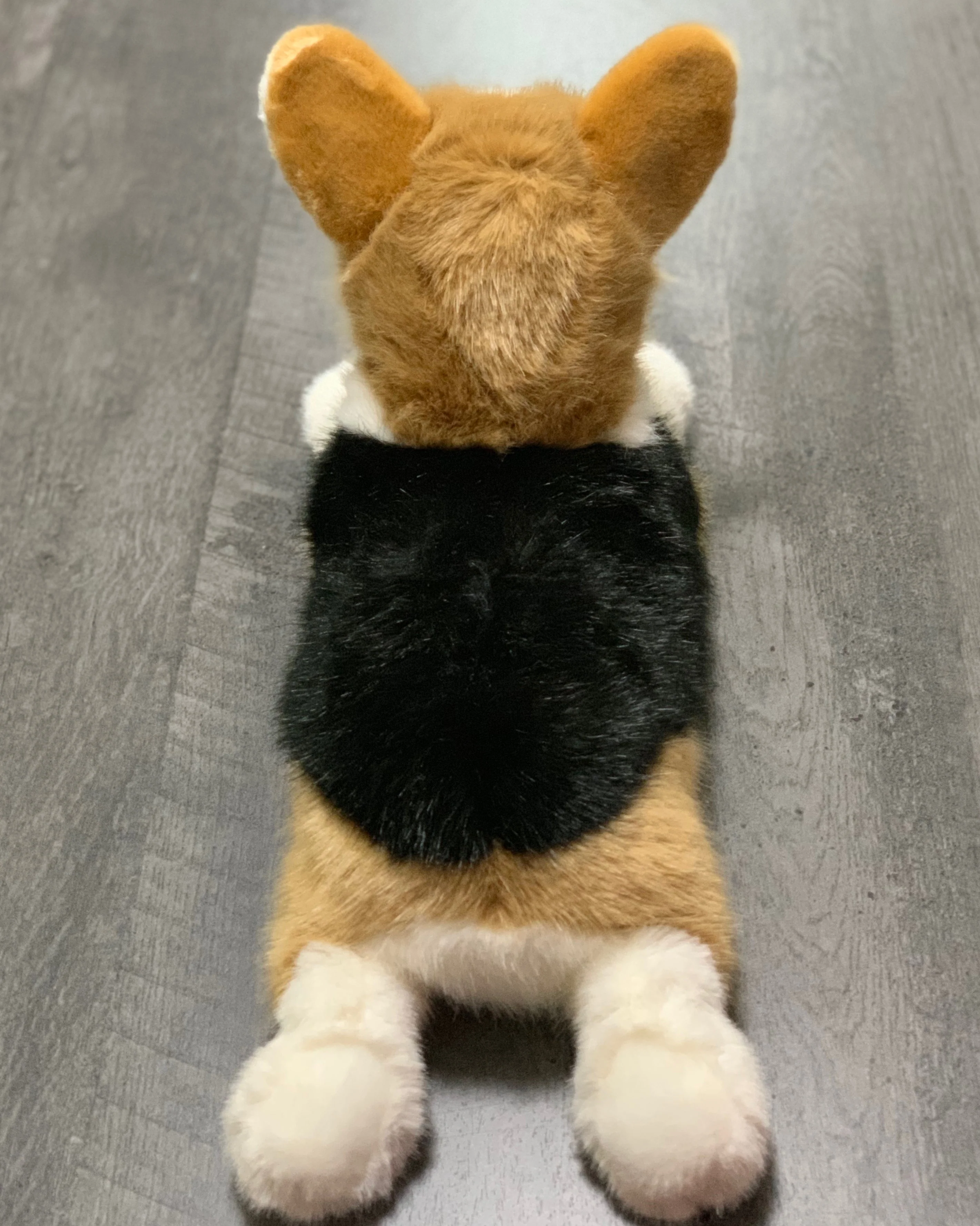 19" Weighted Corgi Plush (Up to 6 lbs) - Image 3
