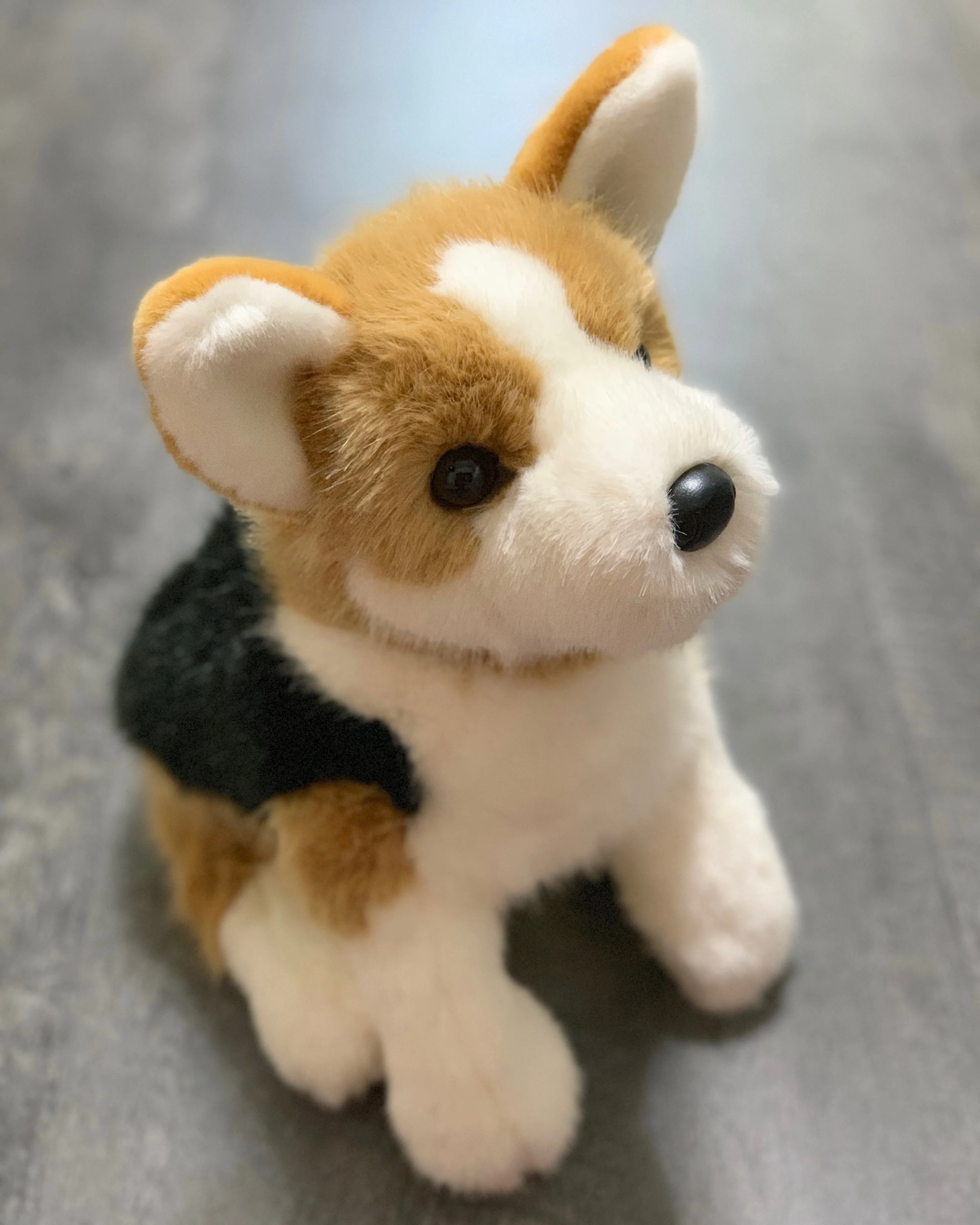 19" Weighted Corgi Plush (Up to 6 lbs) - Image 4