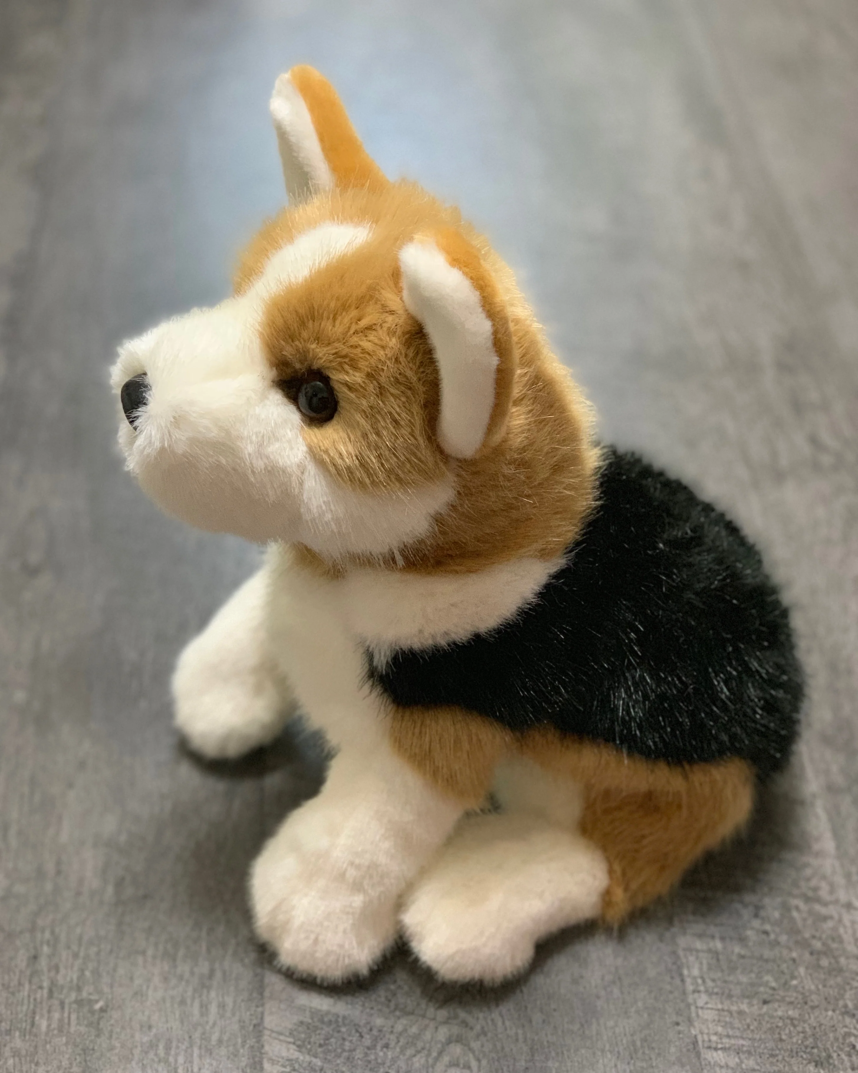 19" Weighted Corgi Plush (Up to 6 lbs) - Image 5