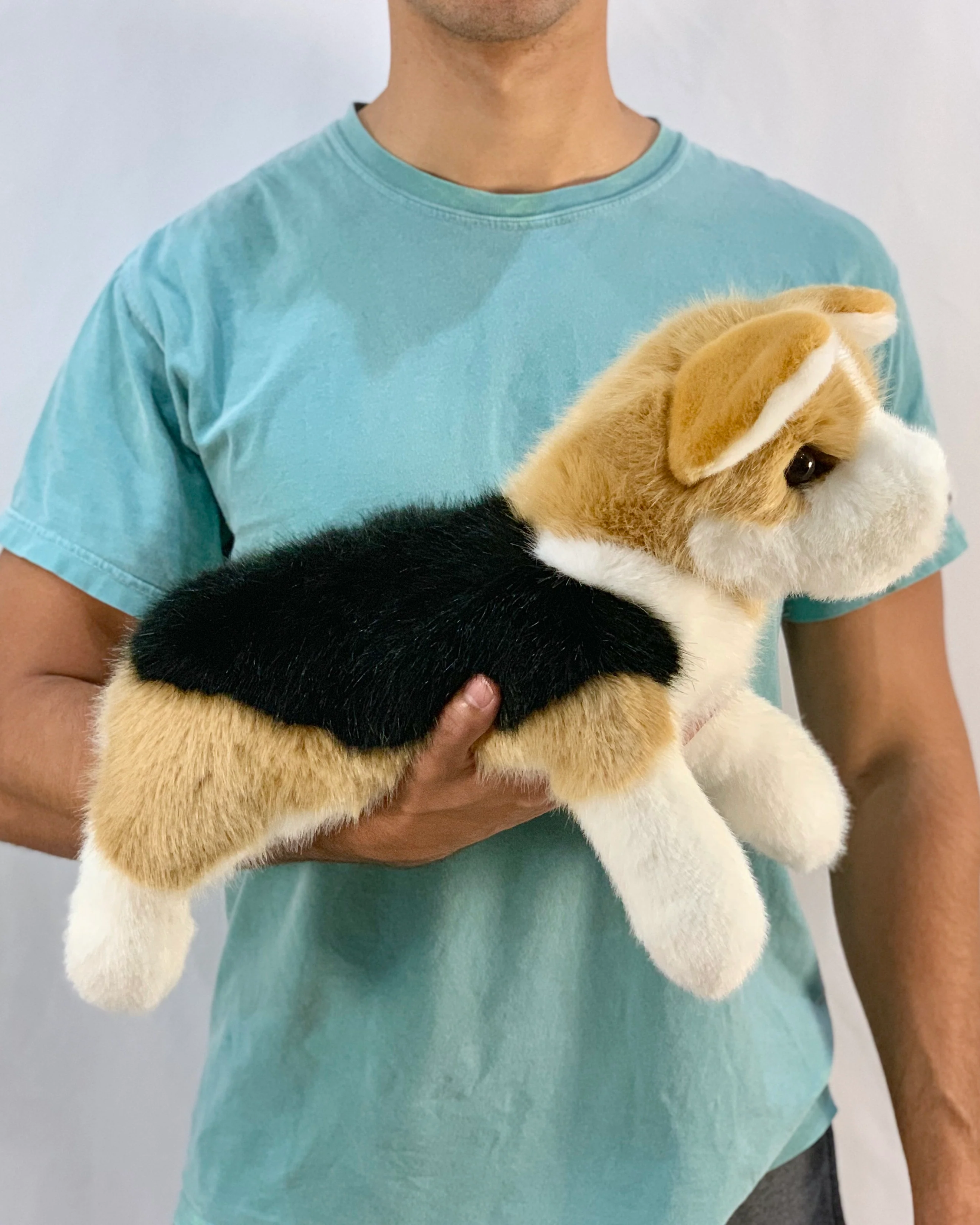 19" Weighted Corgi Plush (Up to 6 lbs) - Image 7