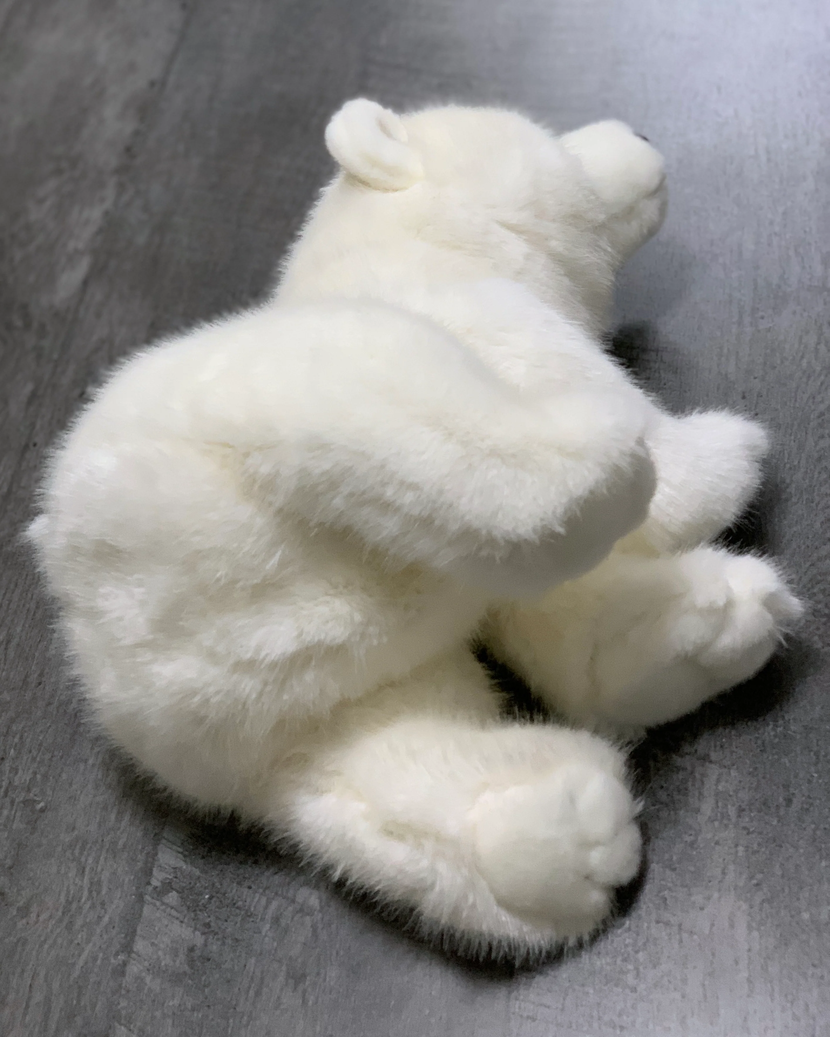 19-inch Weighted Polar Bear, up to 10lbs - Image 5