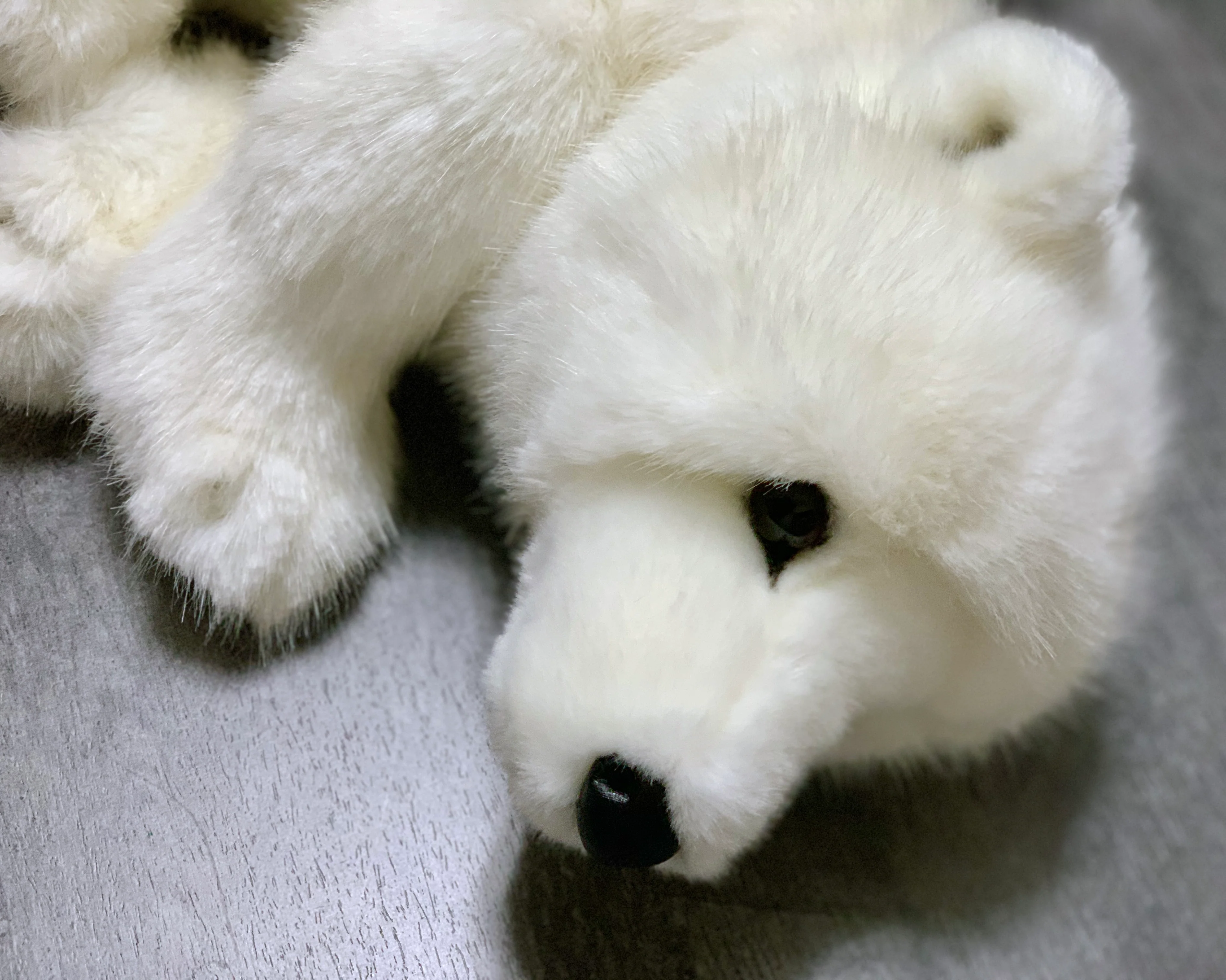 19-inch Weighted Polar Bear, up to 10lbs - Image 7