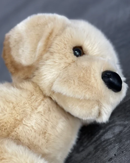 Weighted Yellow Lab Plush — 19" Lifelike Labrador Retriever (Up to 5 lbs) - Image 5