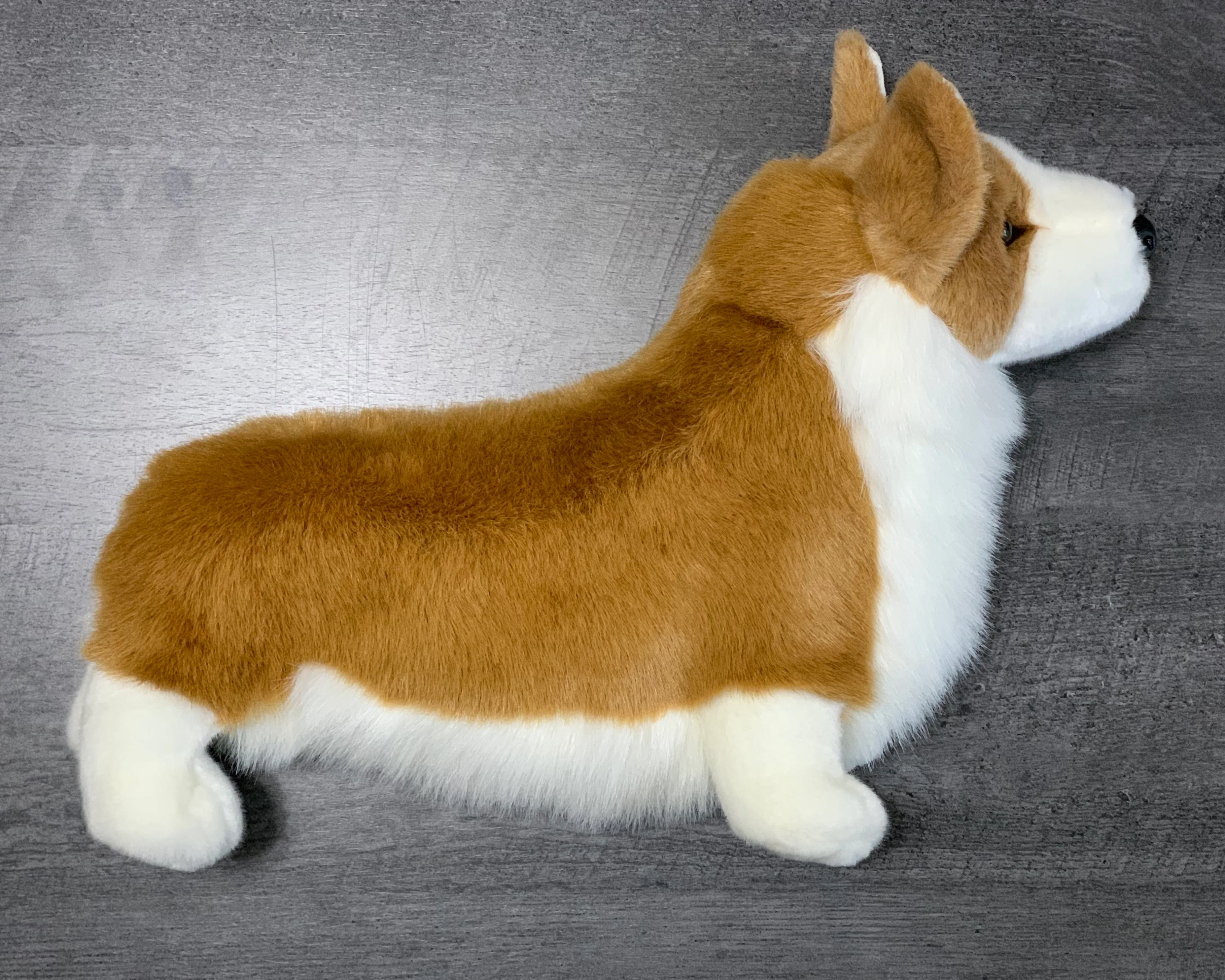 Weighted Corgi Plush — 20" Lifelike Pup (Up to 7lbs) - Image 3