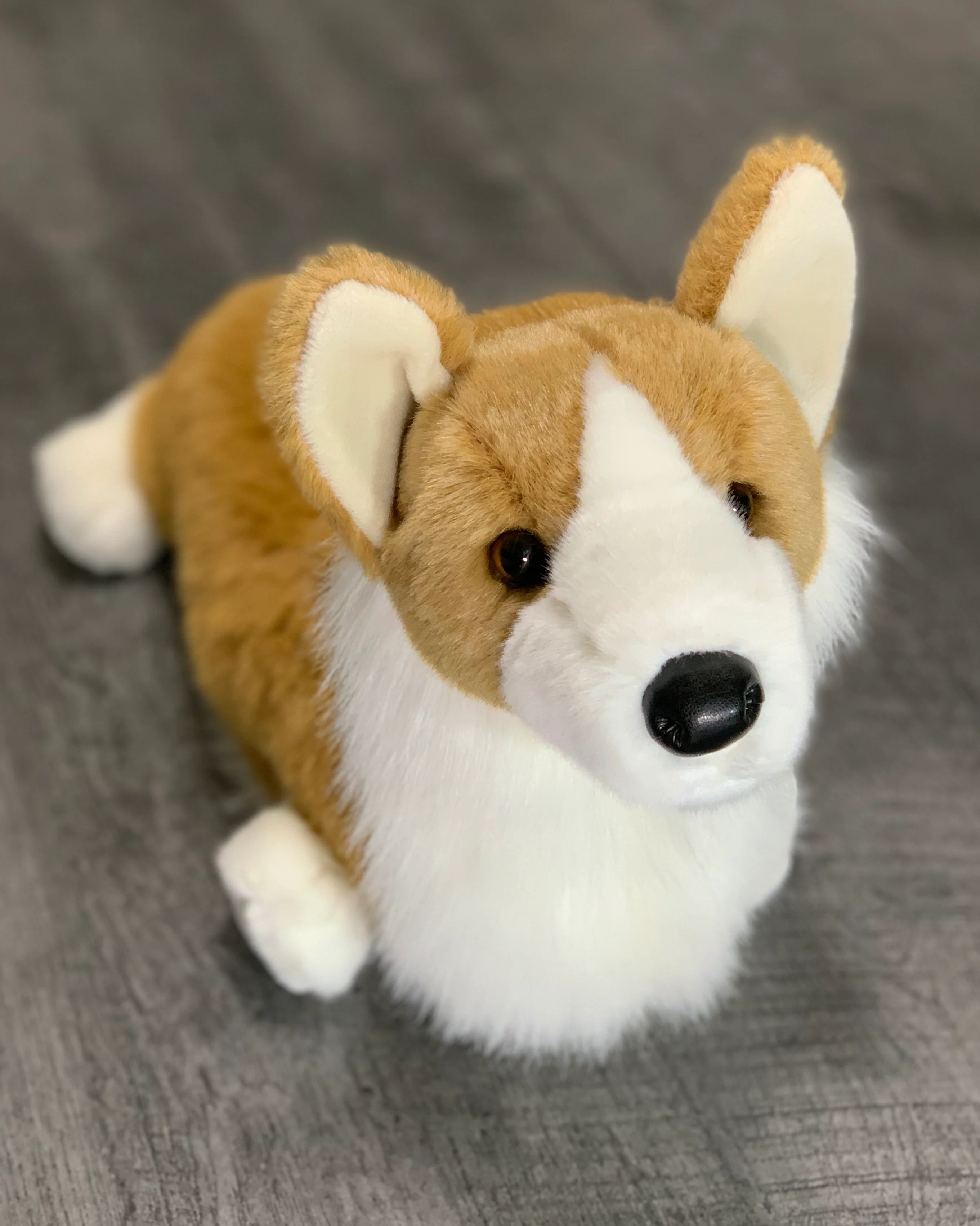 Weighted Corgi Plush — 20" Lifelike Pup (Up to 7lbs) - Image 4