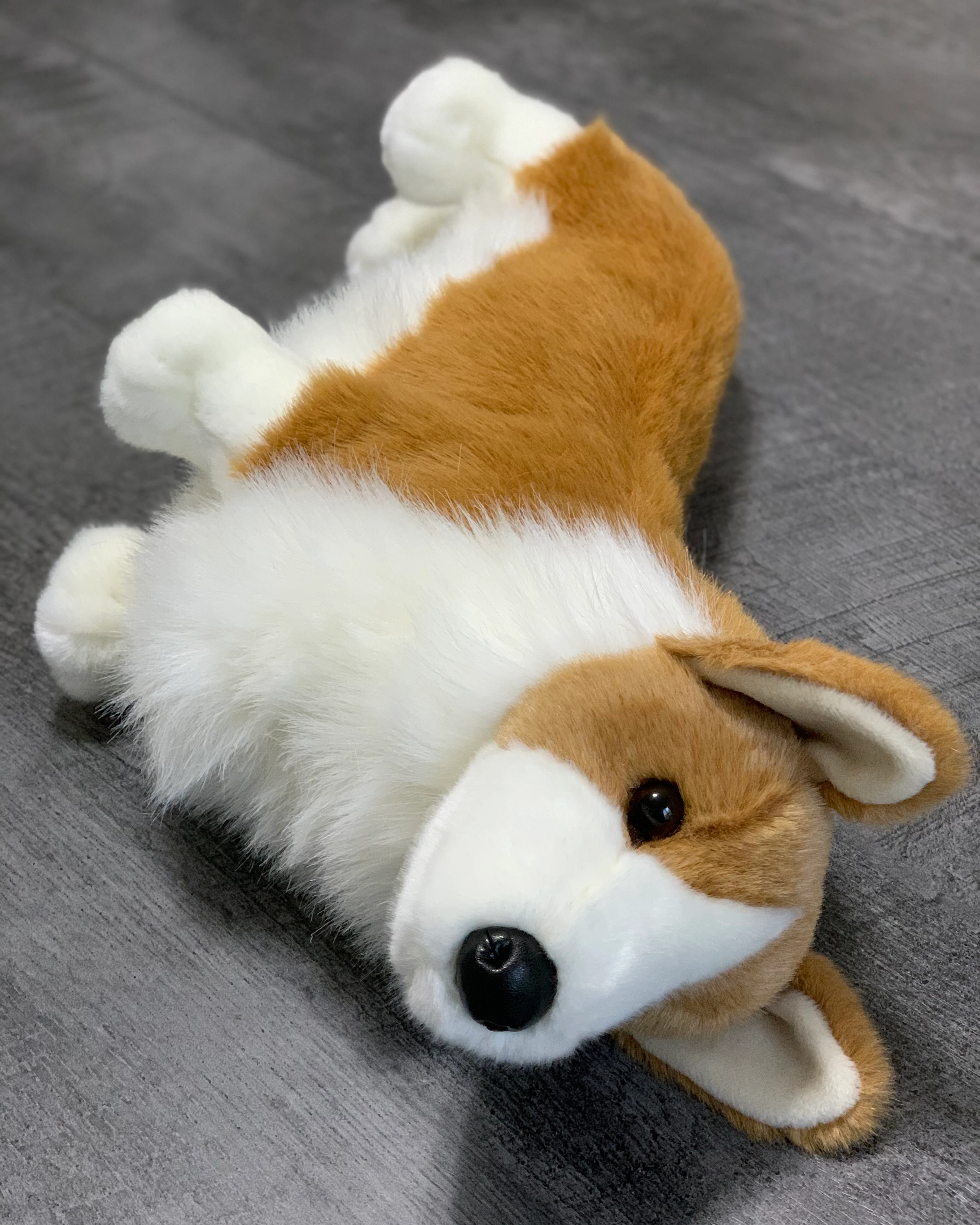Weighted Corgi Plush — 20" Lifelike Pup (Up to 7lbs) - Image 5