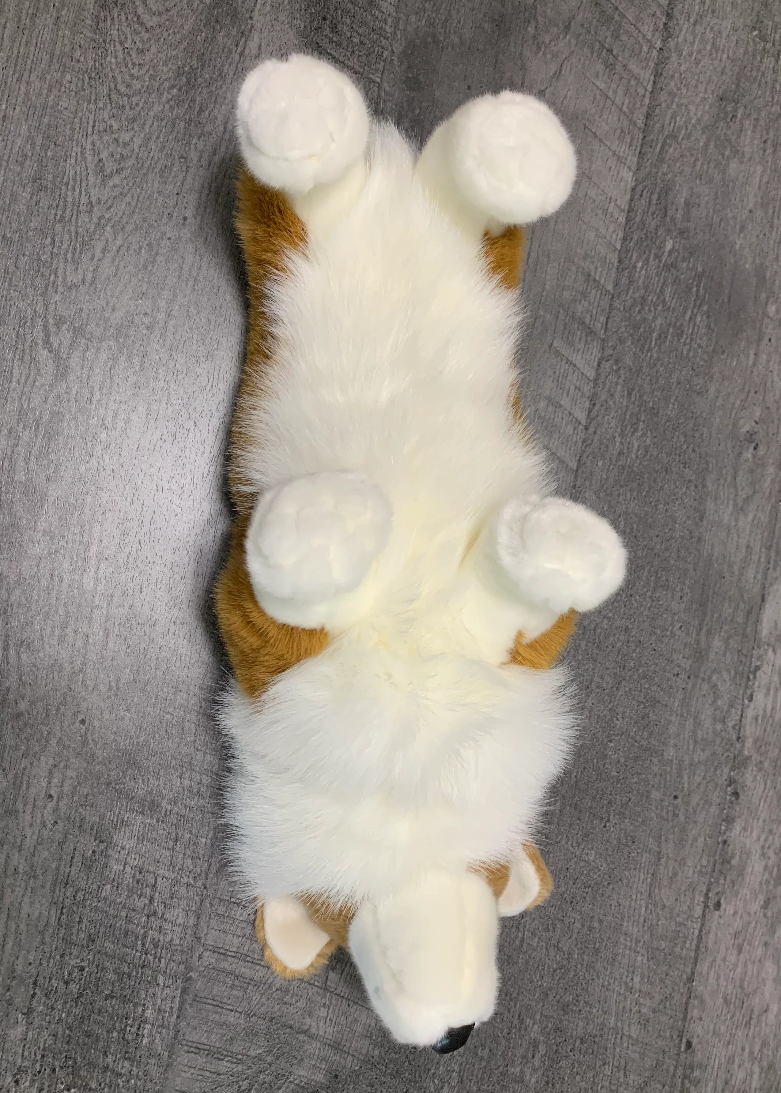 Weighted Corgi Plush — 20" Lifelike Pup (Up to 7lbs) - Image 7
