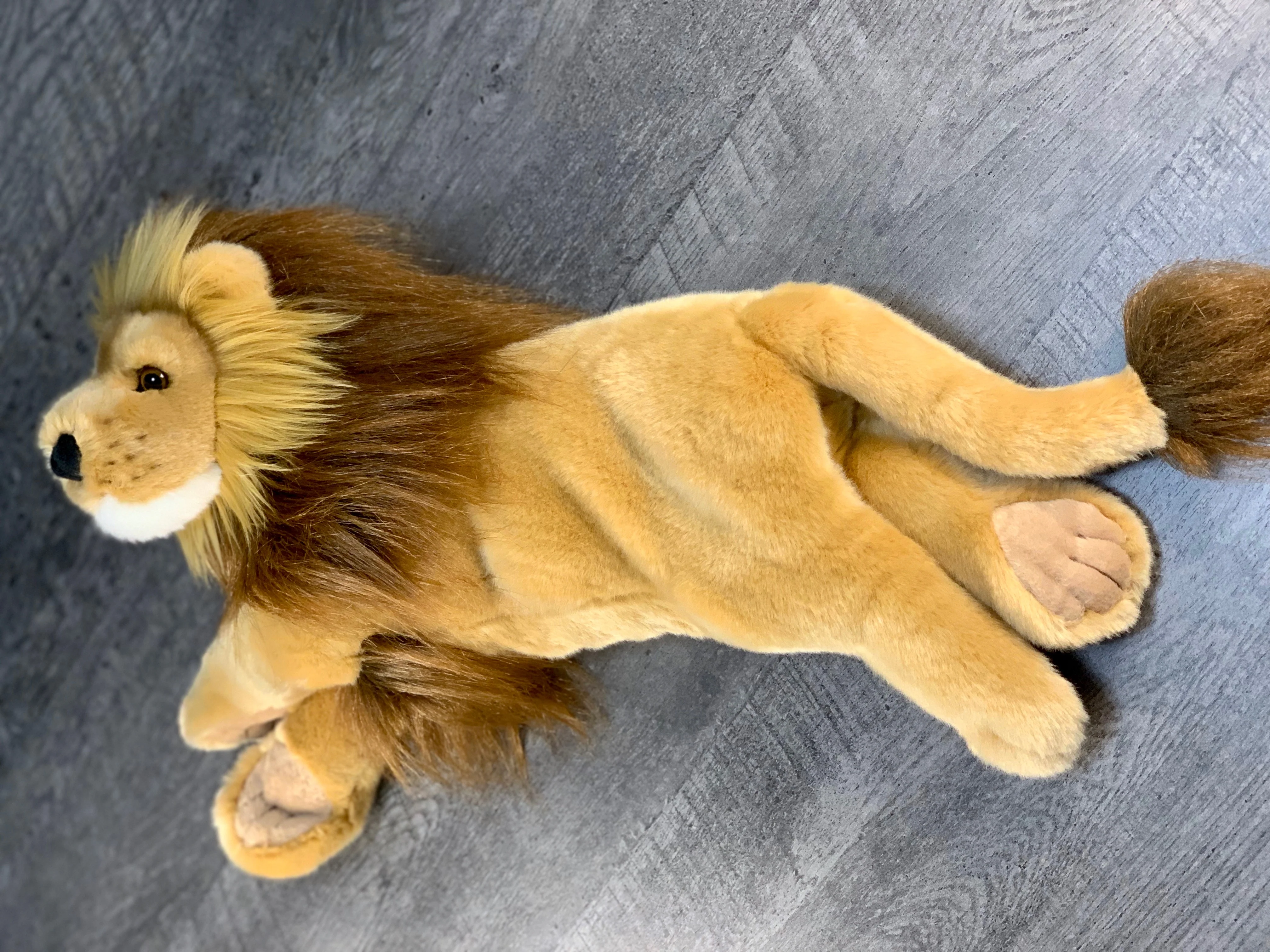 Weighted Lion Plush — 22" Lifelike Mane, Ultra-Soft (Up to 8 lbs) - Image 6