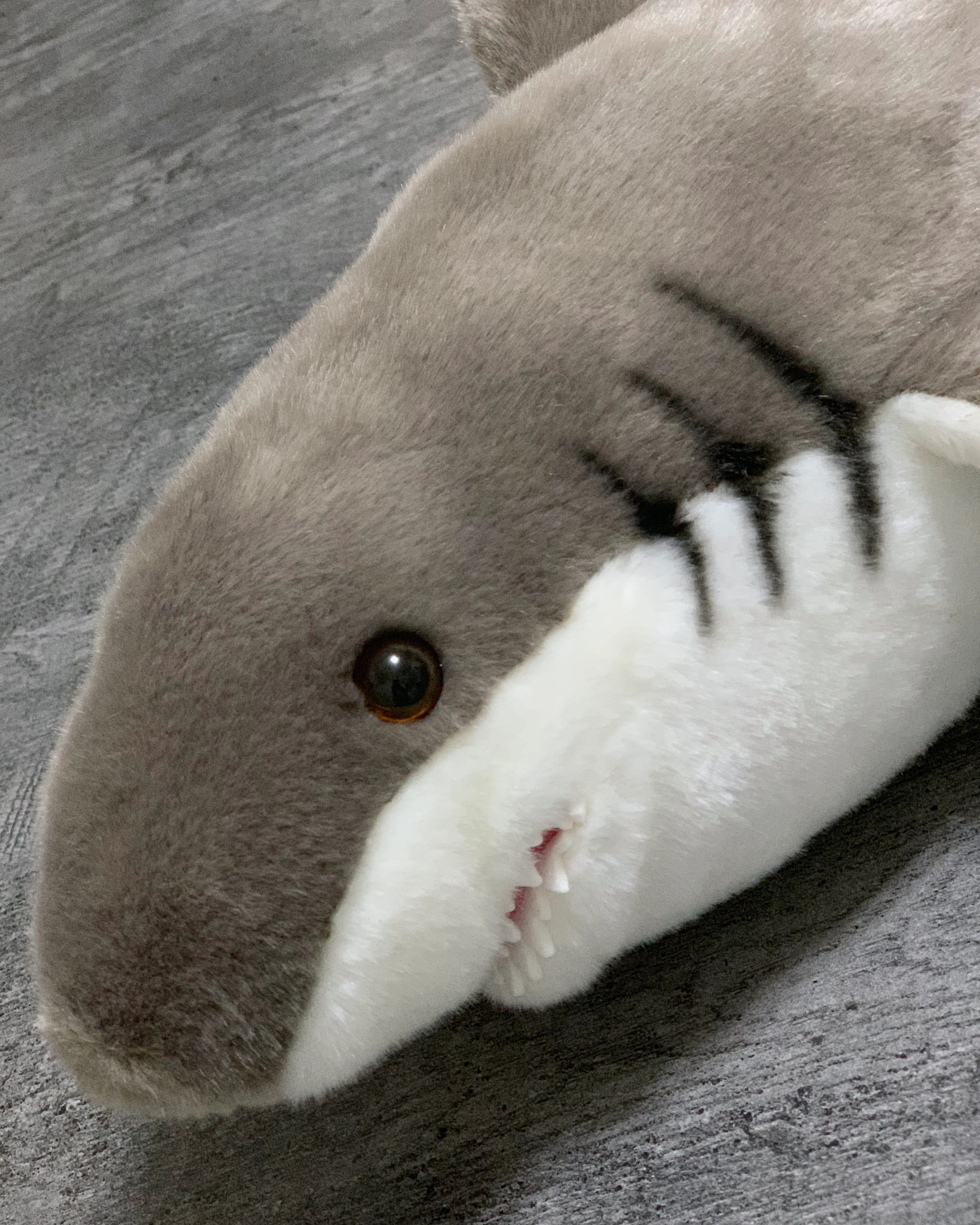 22-inch Weighted Great White Shark, up to 6lbs - Image 4