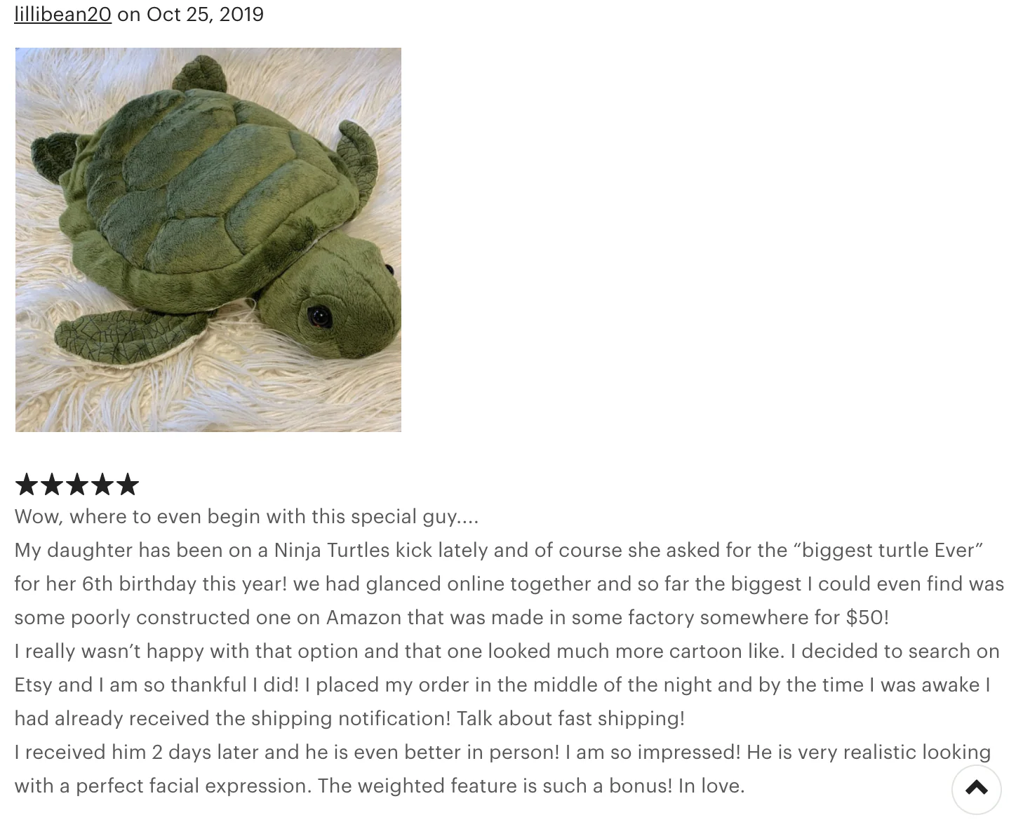 22" Sea Turtle, Weighted up to 10lbs - Image 11