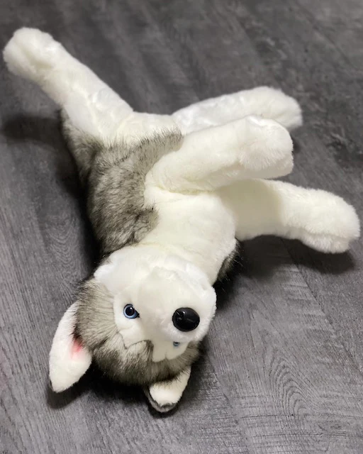 Weighted Husky Plush — 25" Blue-Eyed, Ultra-Soft (Up to 11 lbs) - Image 4