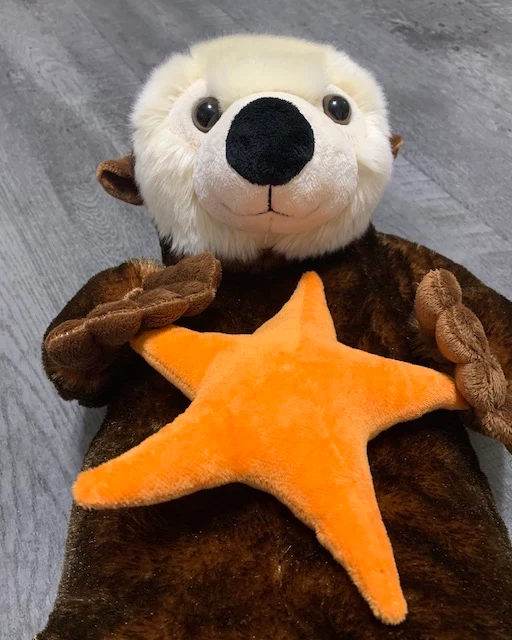 27-inch Sea Otter, Weighted up to 11lbs - Image 3