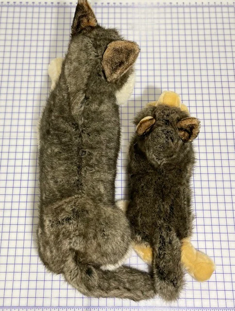 Jumbo Weighted Wolf – 37" Showstopper (Up to 24 lbs) - Image 6