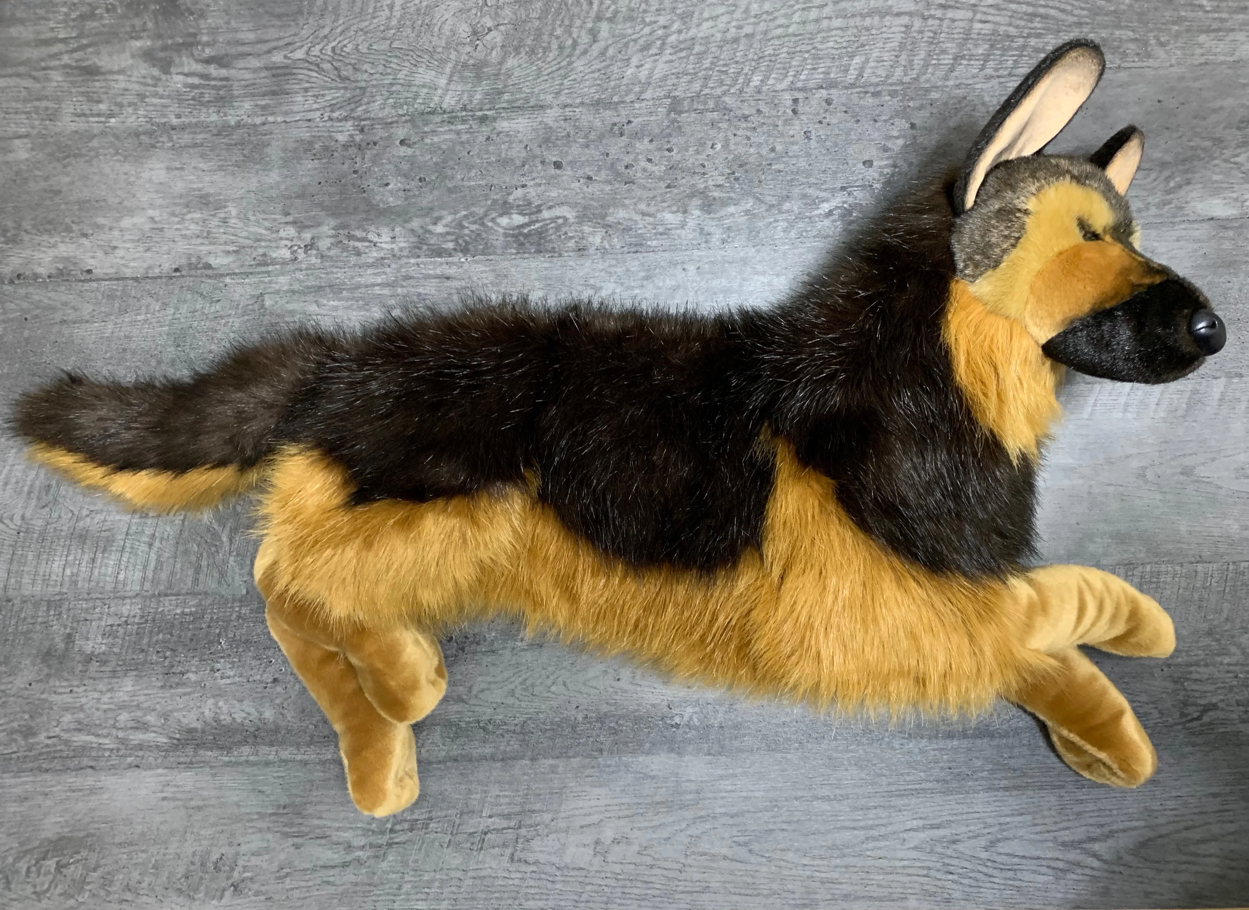 Life-Sized Weighted German Shepherd – 40" (Up to 24 lbs) - Image 6
