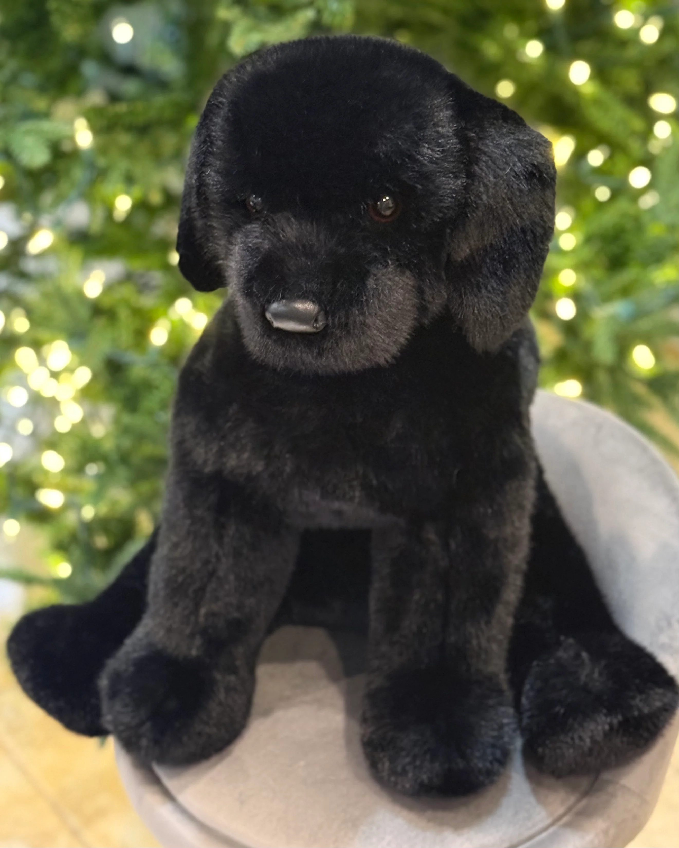 Weighted Black Labrador Dog Plush – Up to 11 lbs, 23" - Image 3